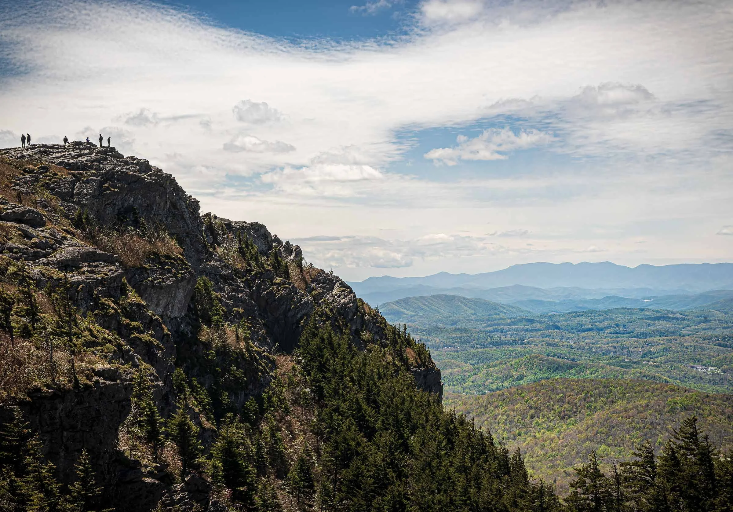 Blue Ridge Parkway Grandfather Peak Closeup.jpg