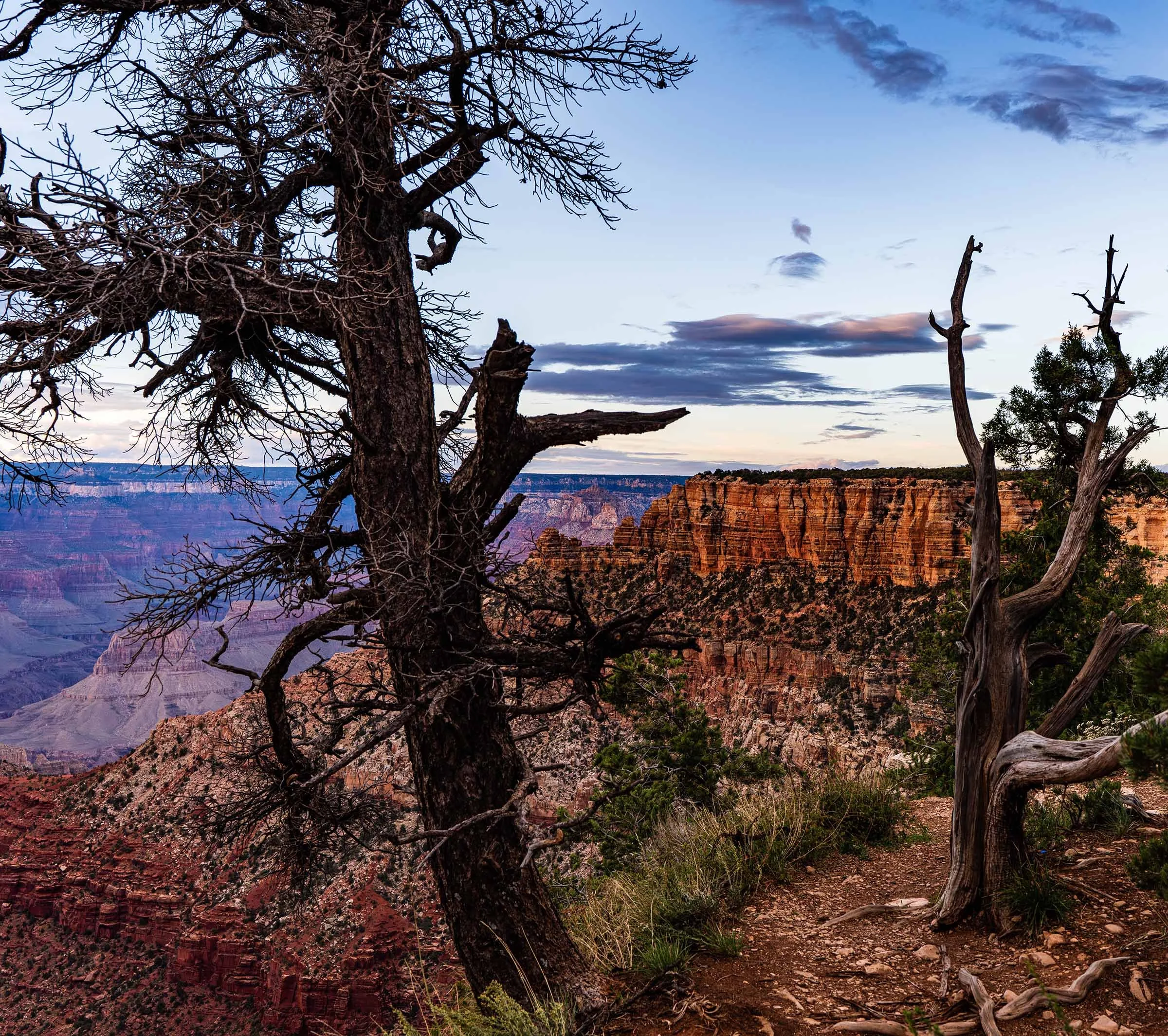 Grand Canyon