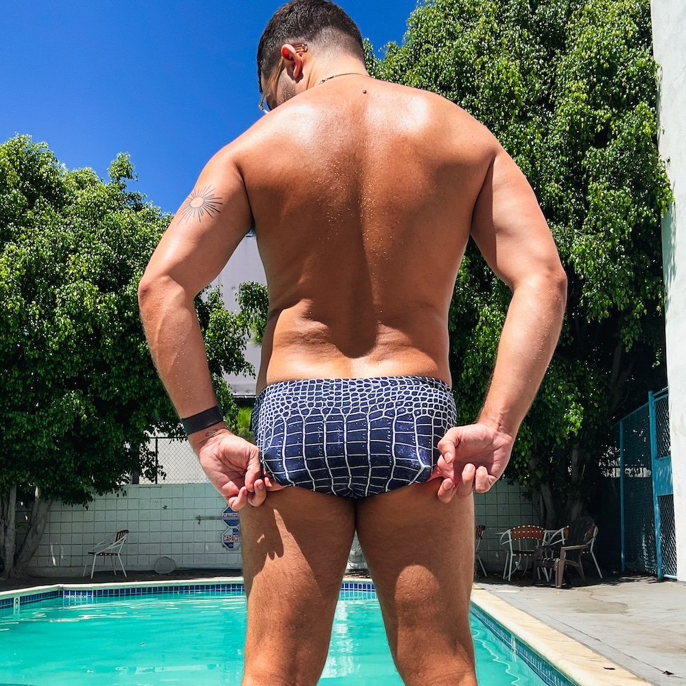 croc_fig_back.jpg