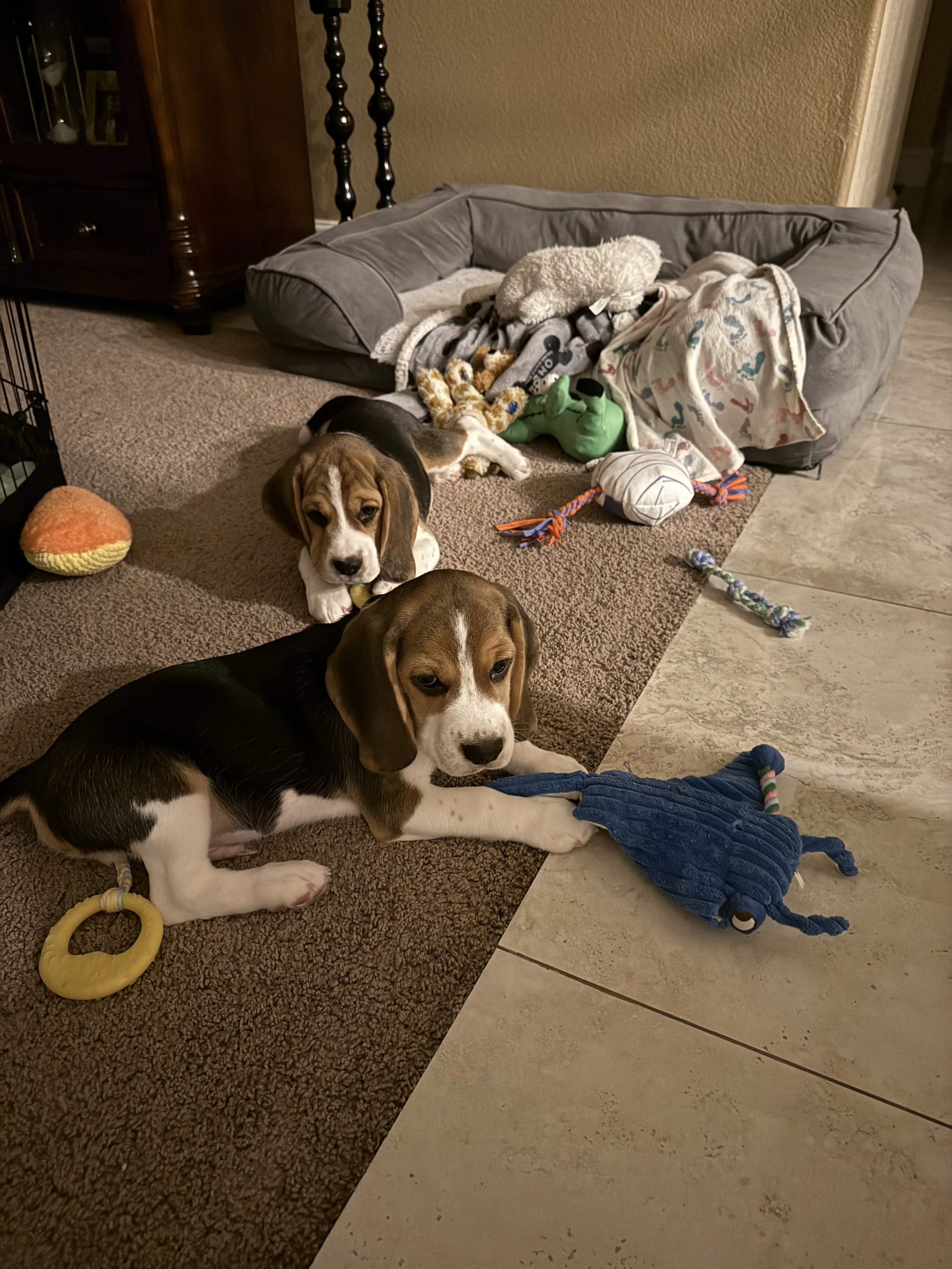 IMG_20250929_165132 (2).jpeg