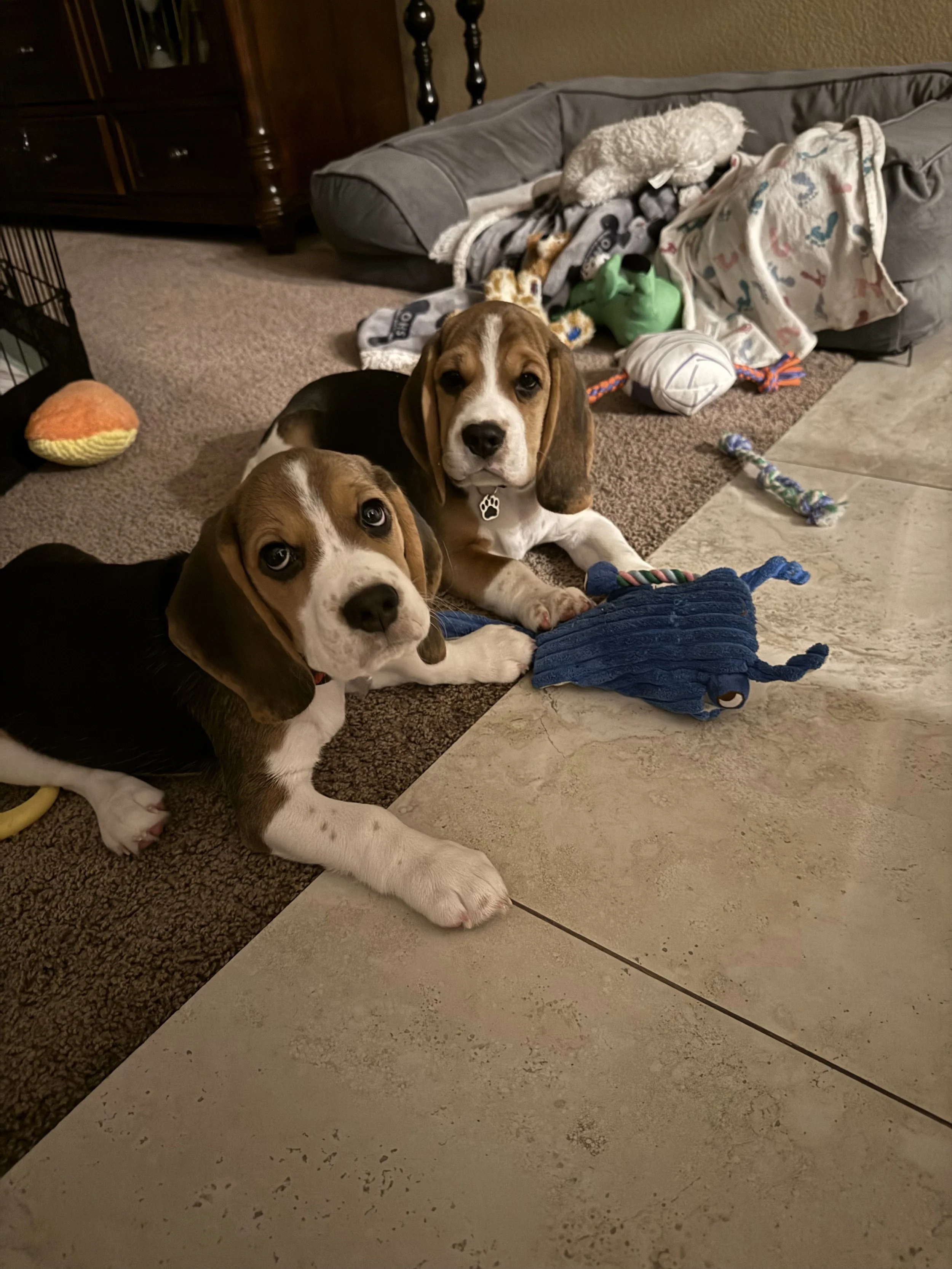 IMG_20250929_165132 (1).jpeg