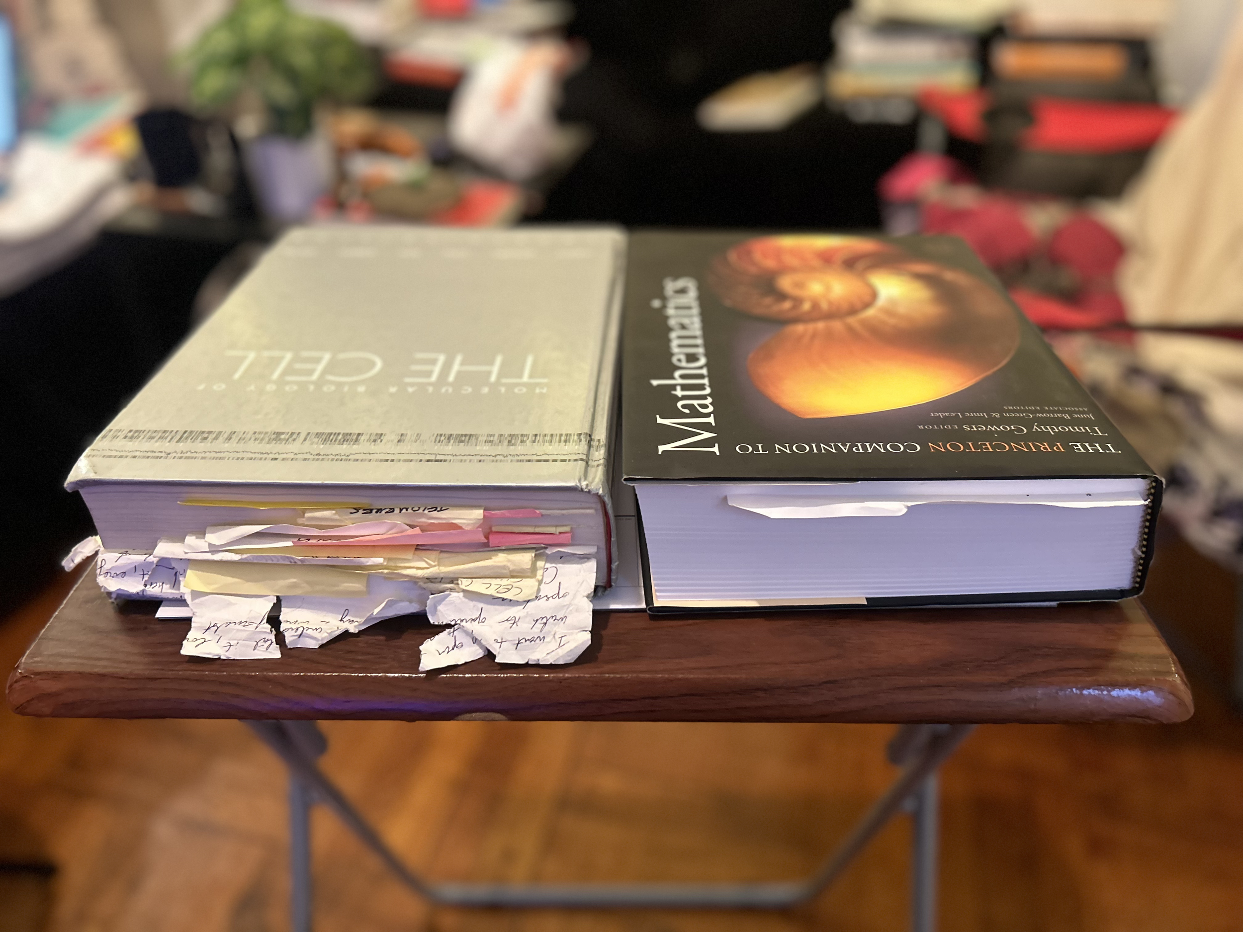 I just want to say: The Princeton Companion to Mathematics — SHEESH