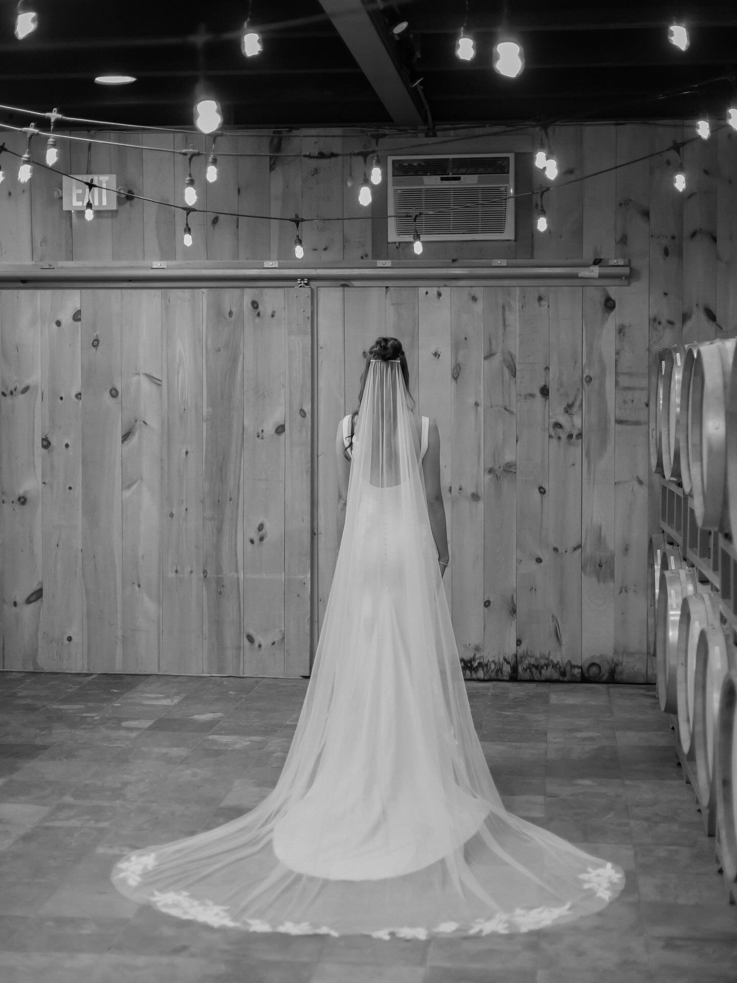 cathedral veil