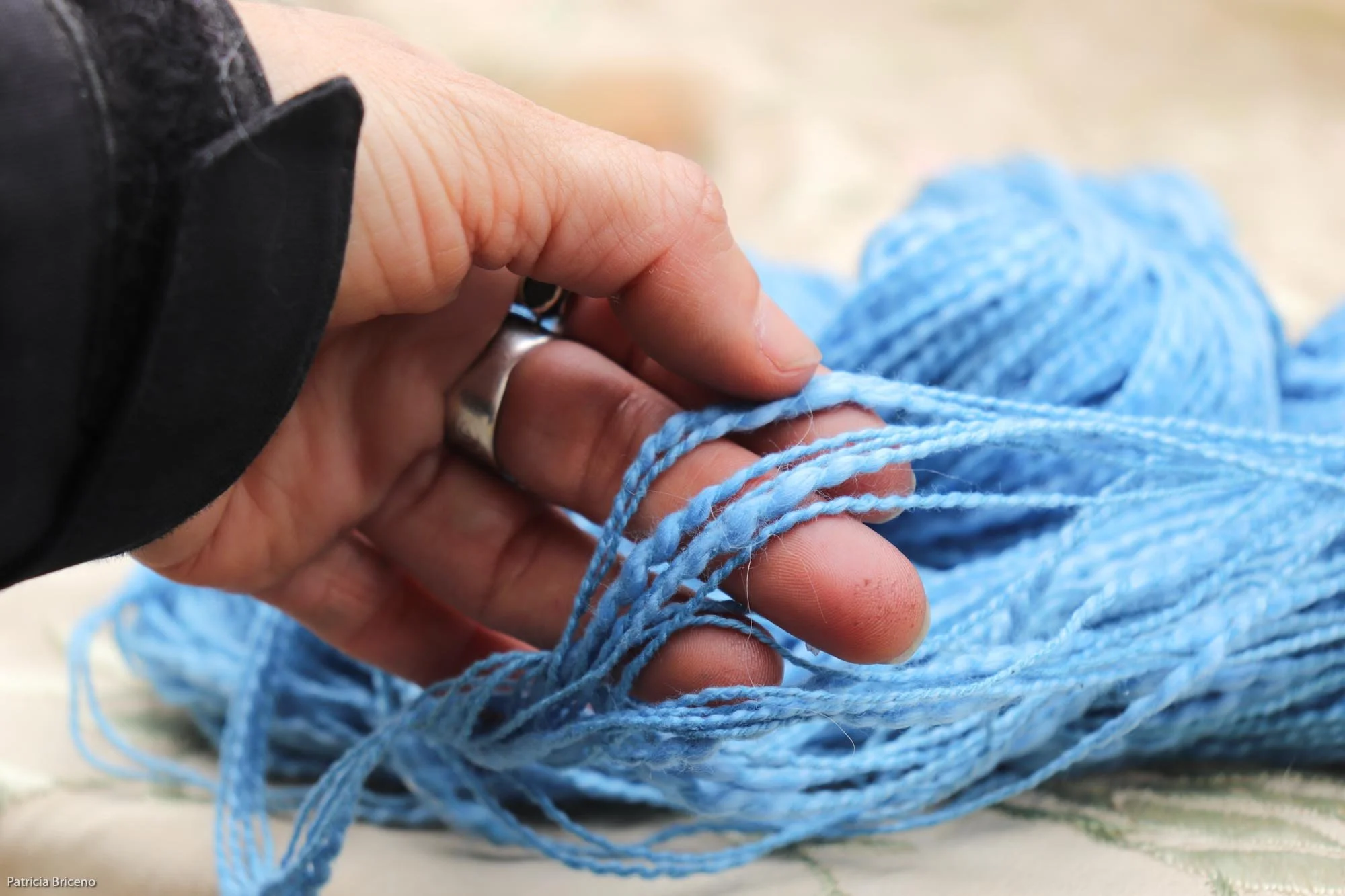 Ocean Breeze-2-2.jpg