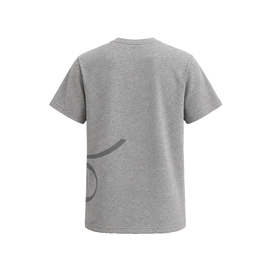 tshirt-grey-back.png (Copy)