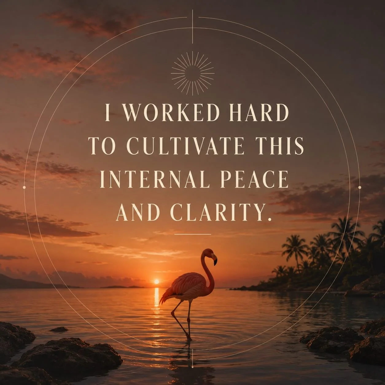 If you focus on yourself and take care of yourself, you will understand the message. 💖🦩💯 #discipline #consistency #focus