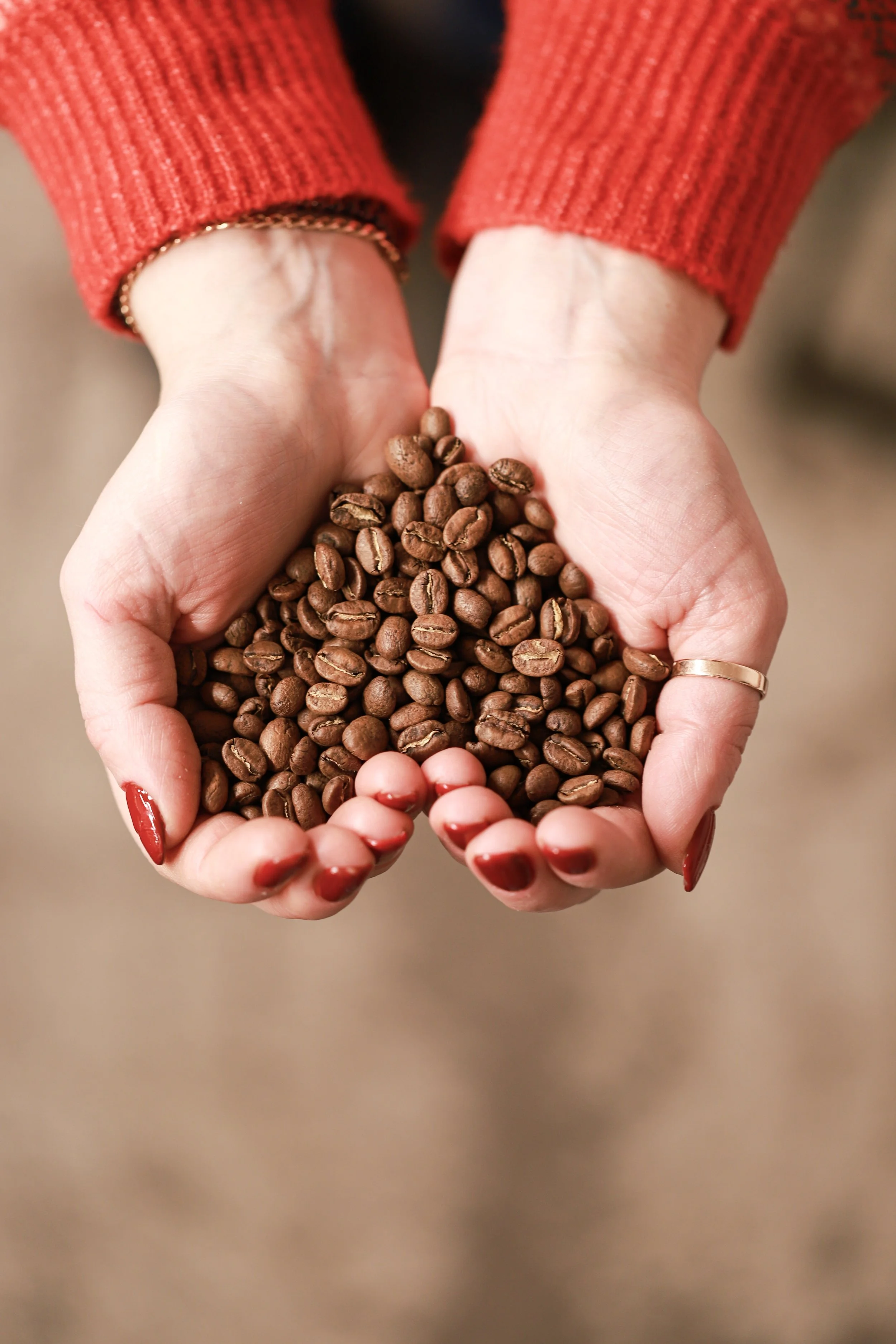 Hands holding coffee beans in a red sweater