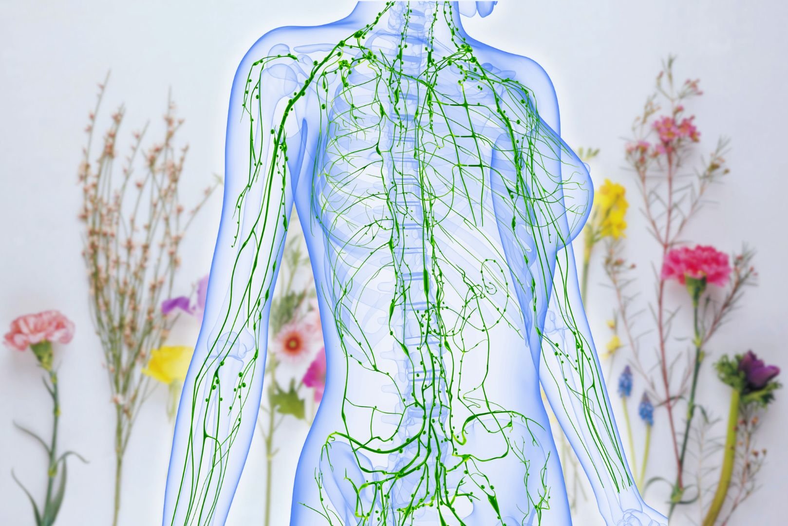 lymph-flowers.jpg