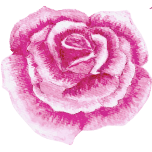 A Rosa Apothecary