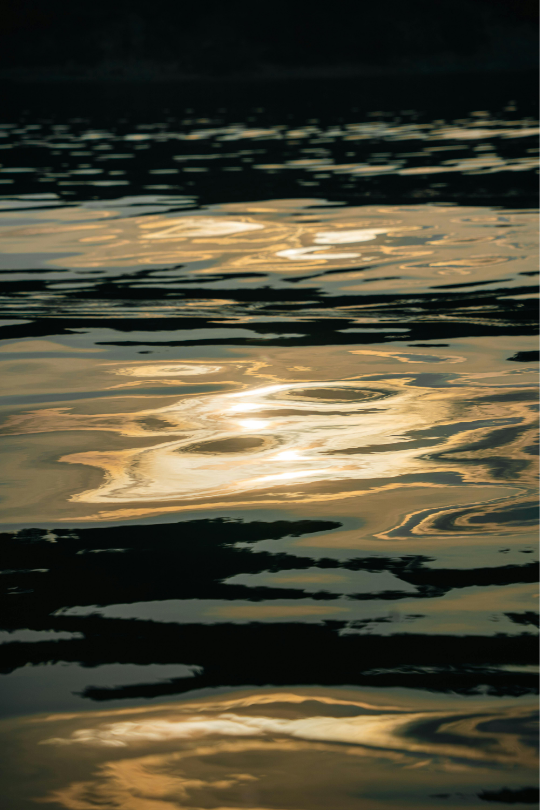 Comfortable Being Uncomfortable