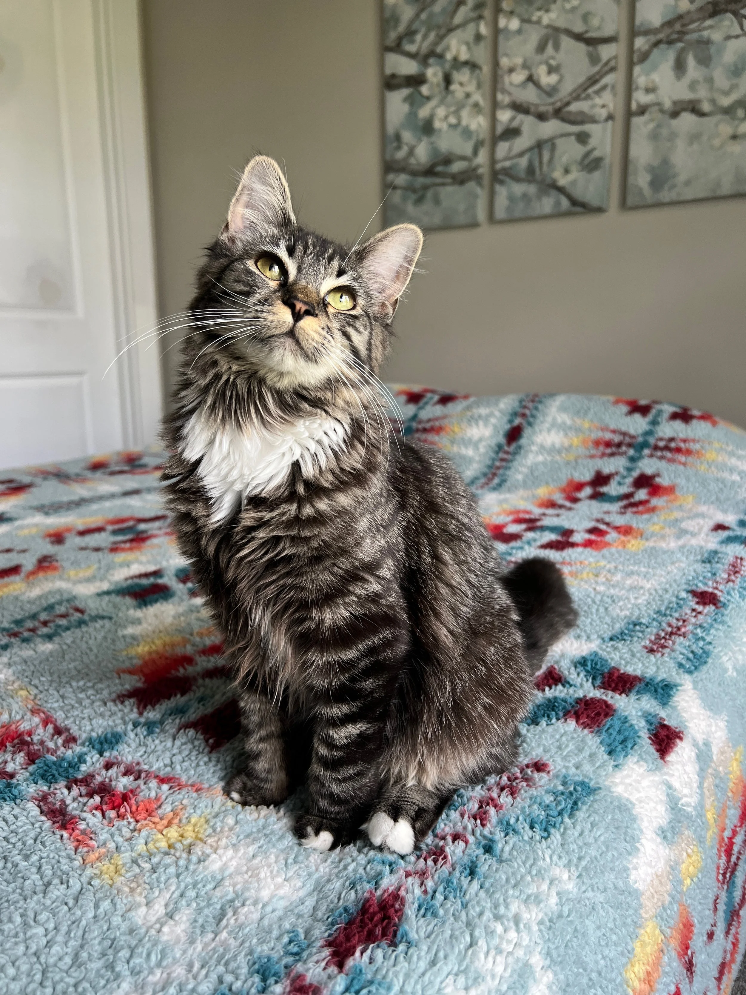 Yuna aka Tuna or Tun-y Balloon-y