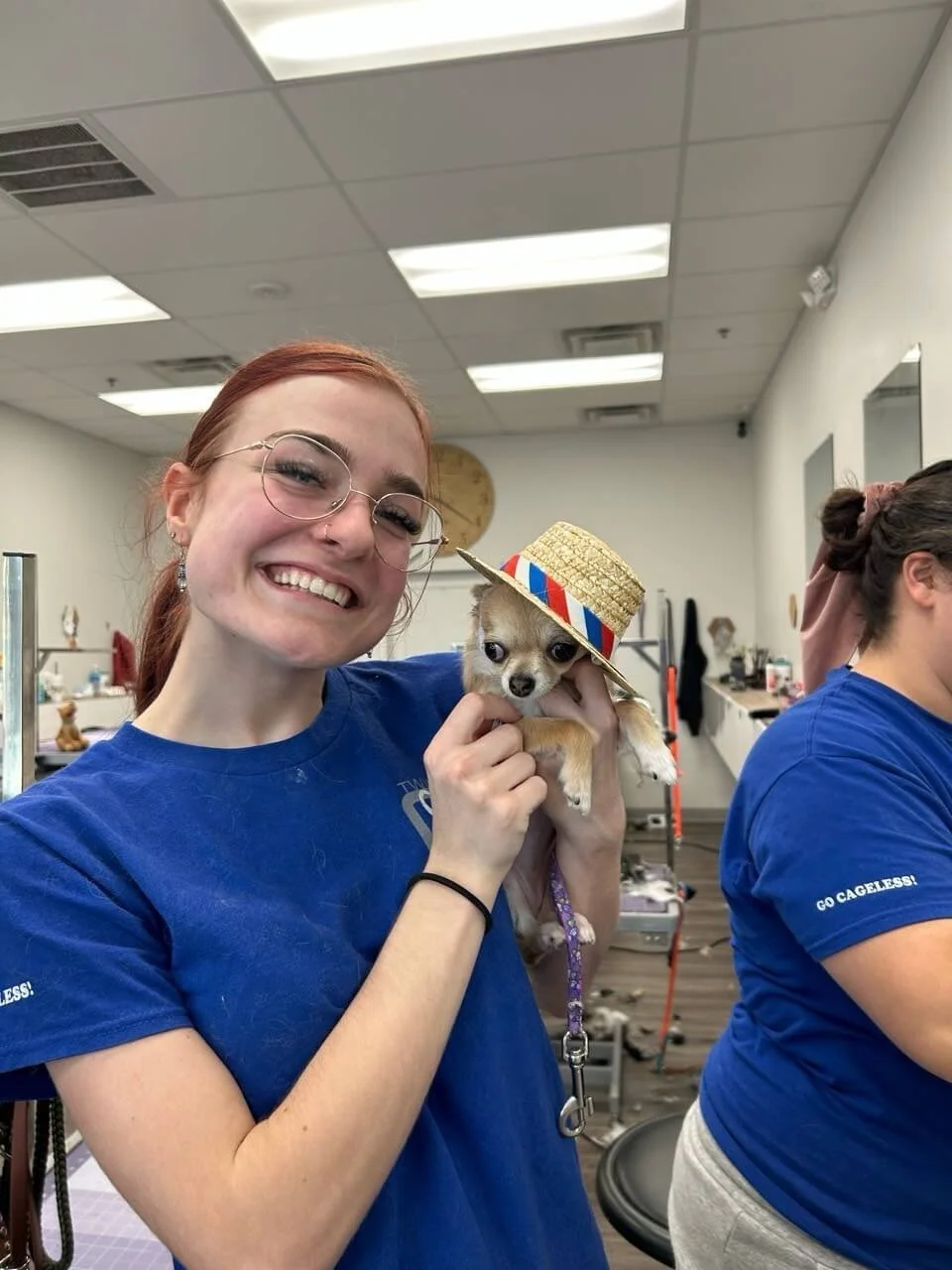 Pet Grooming Salon in Peoria, AZ on Lake Pleasant Parkway