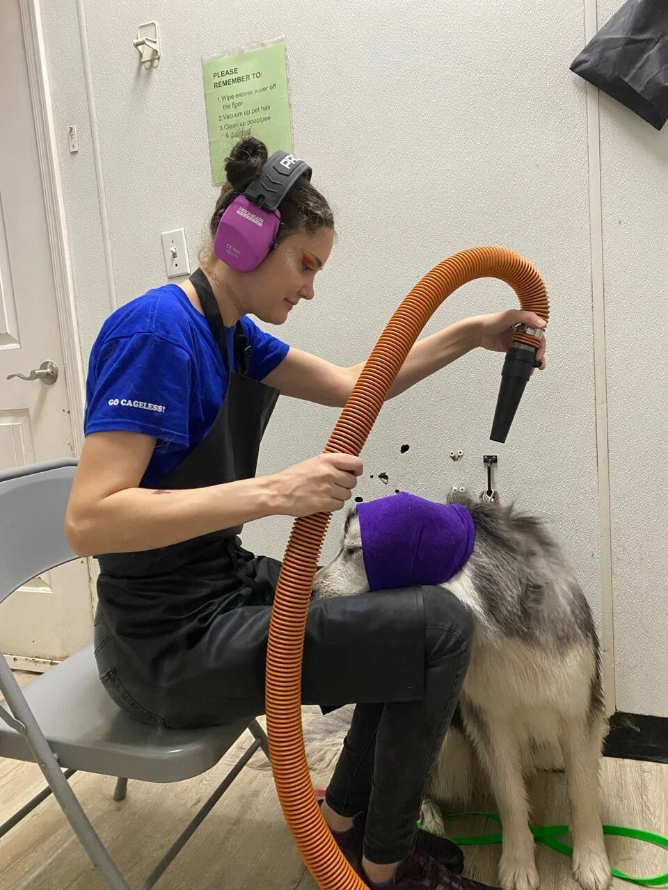 Picture of Pet Grooming Salon in Glendale, AZ on Happy Valley Road