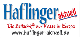 Haflinger aktuell.png