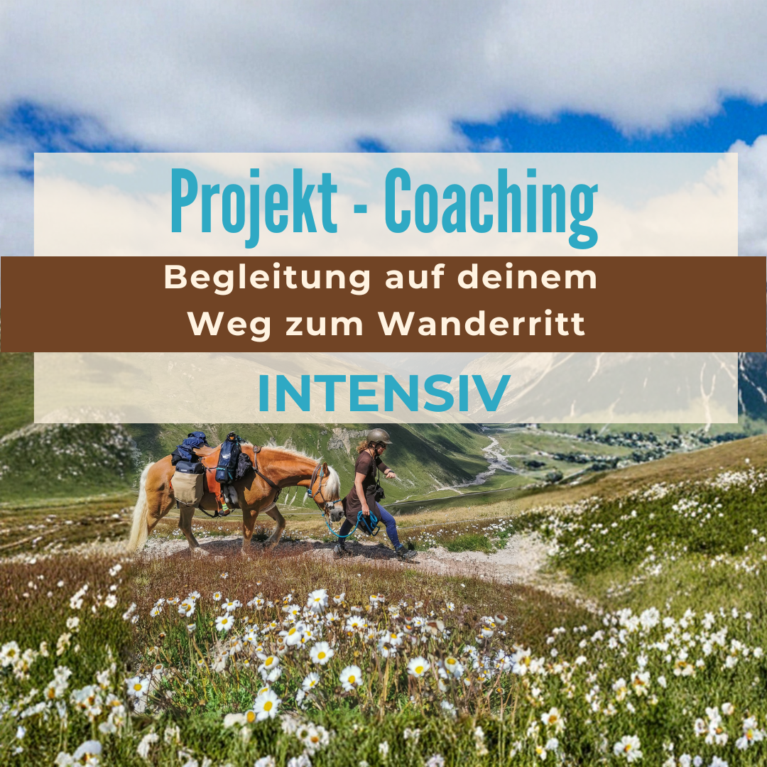 Projekt-Coaching - Intensiv