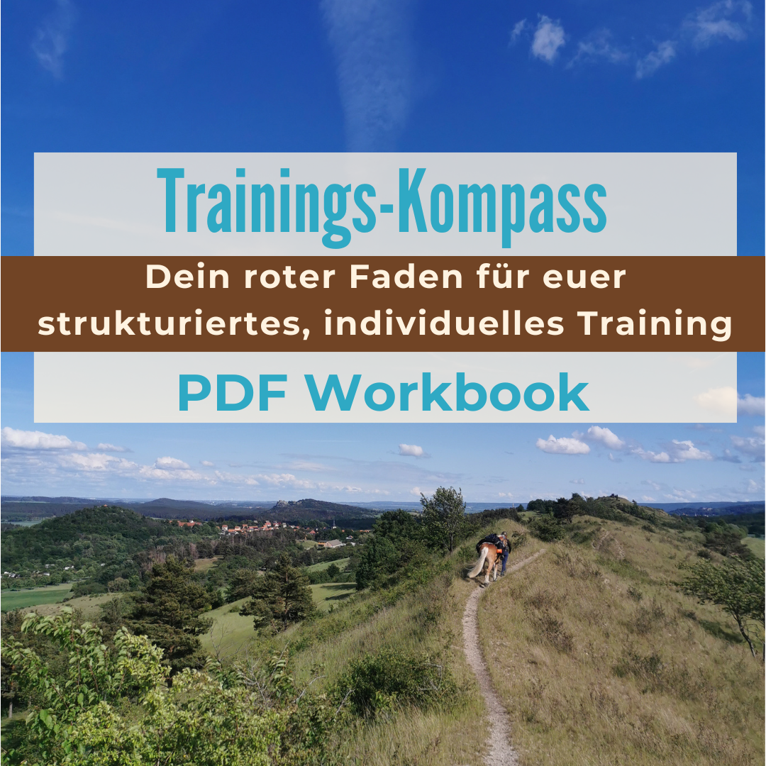 Trainings-Kompass