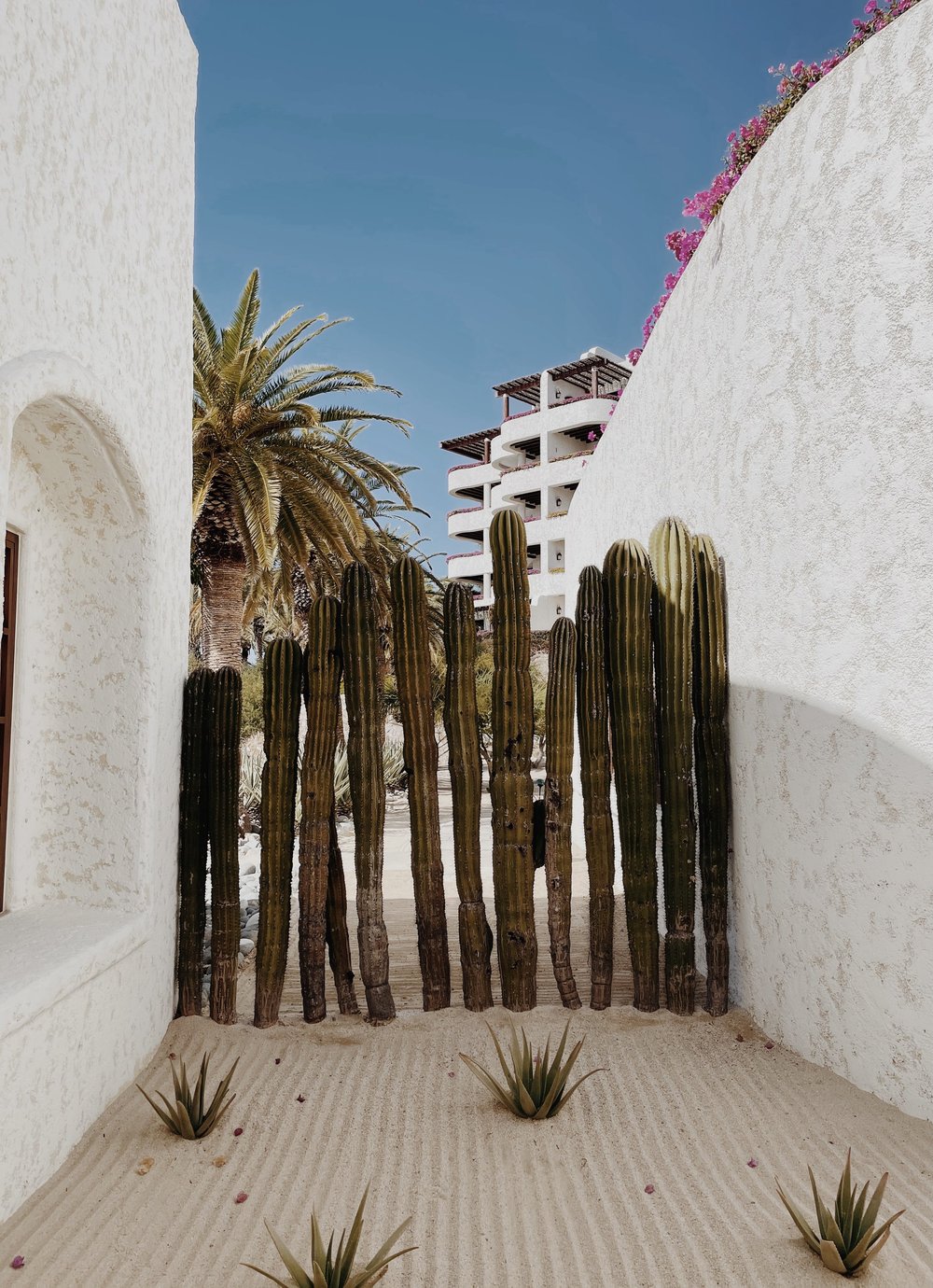 7E733882-E814-44D4-A8C7-AB8EC242B8FB-9D17246D-6F5C-4483-94DF-DE26114133ED 2.jpg