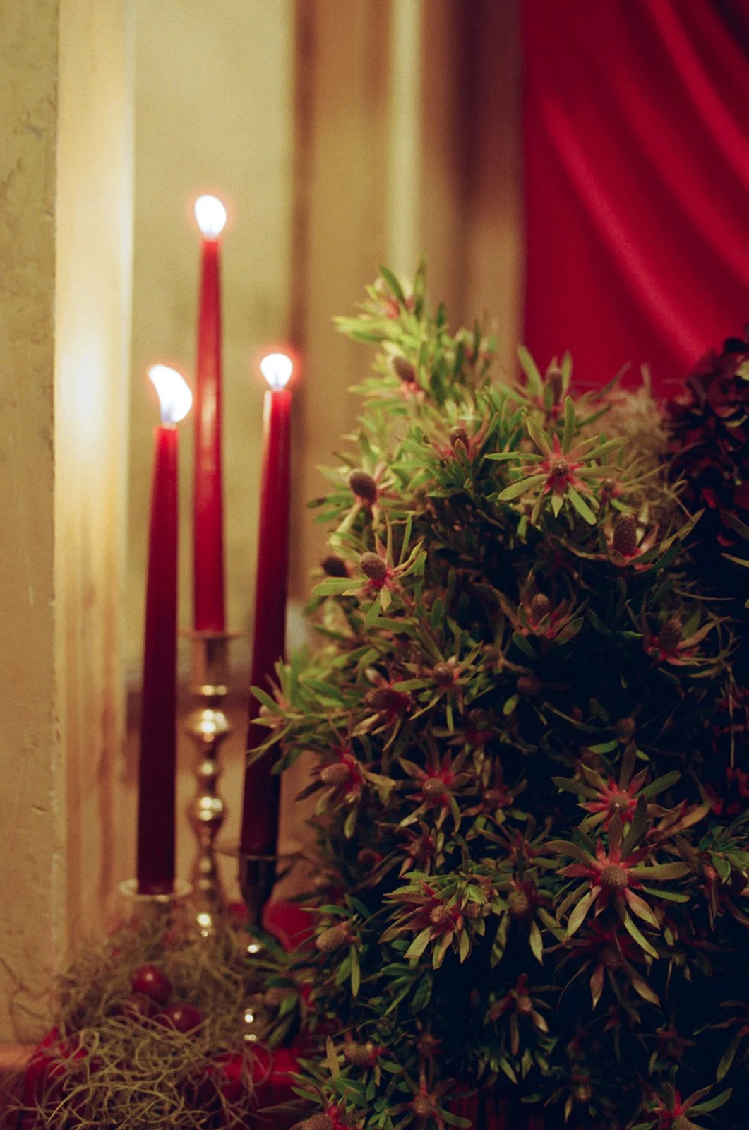 Anna Amos Wedding-551.jpg