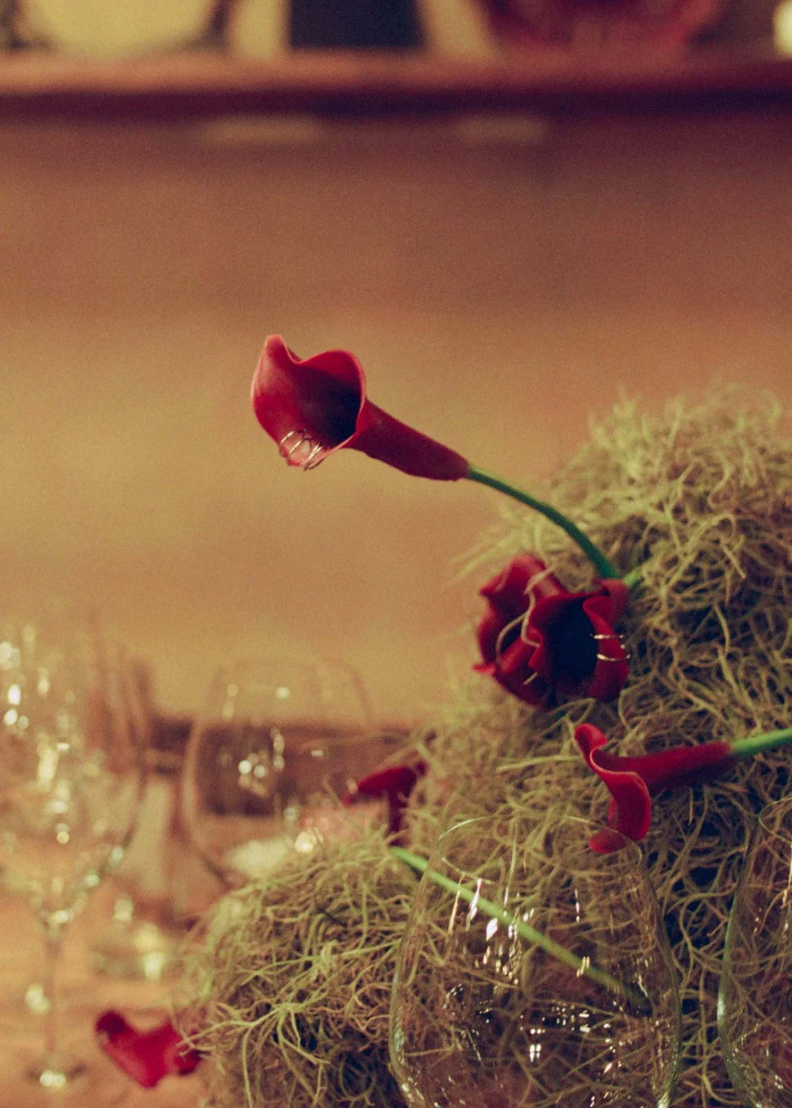 Anna Amos Wedding-538.jpg