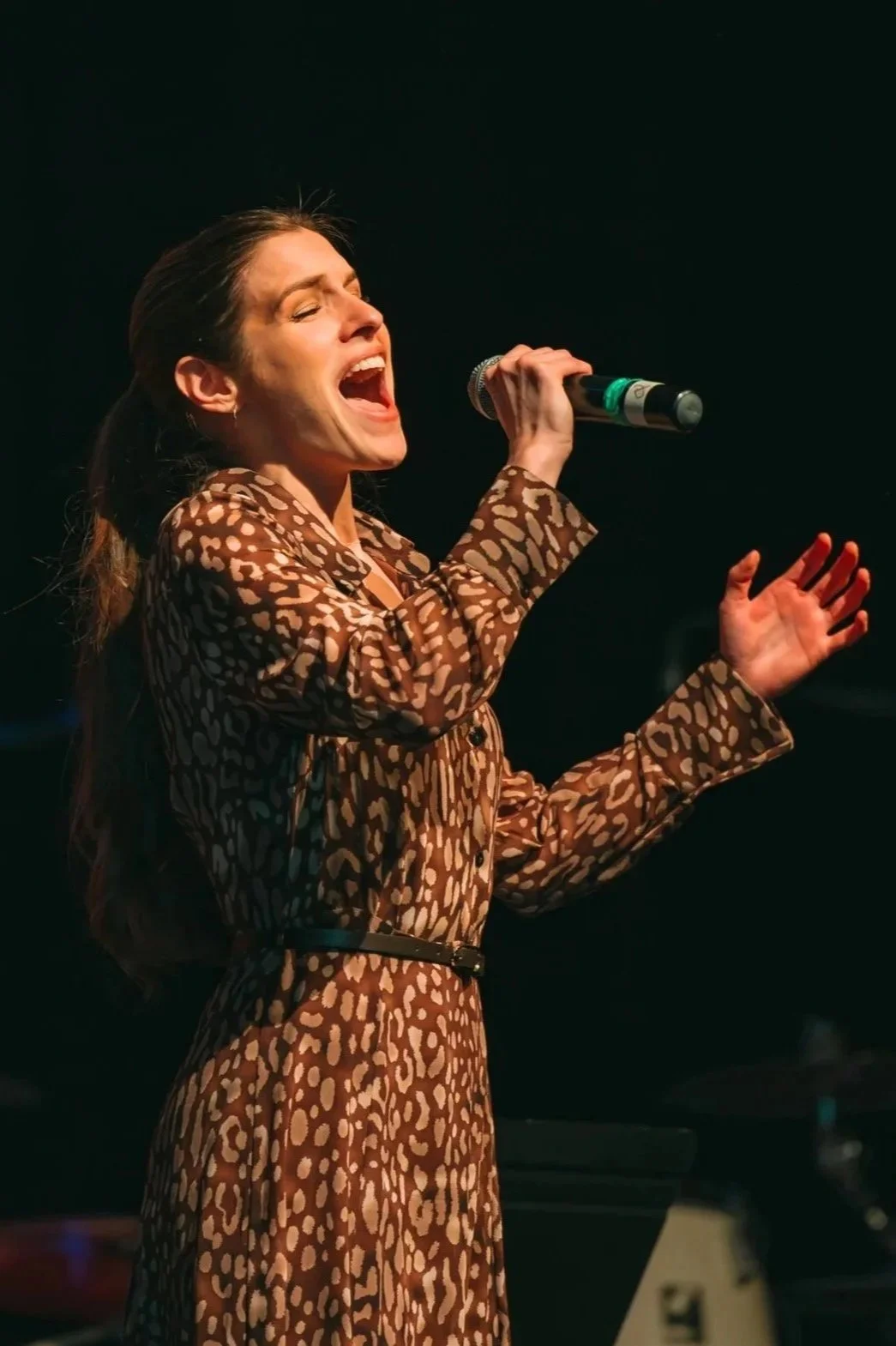 spectacle chanteuse
