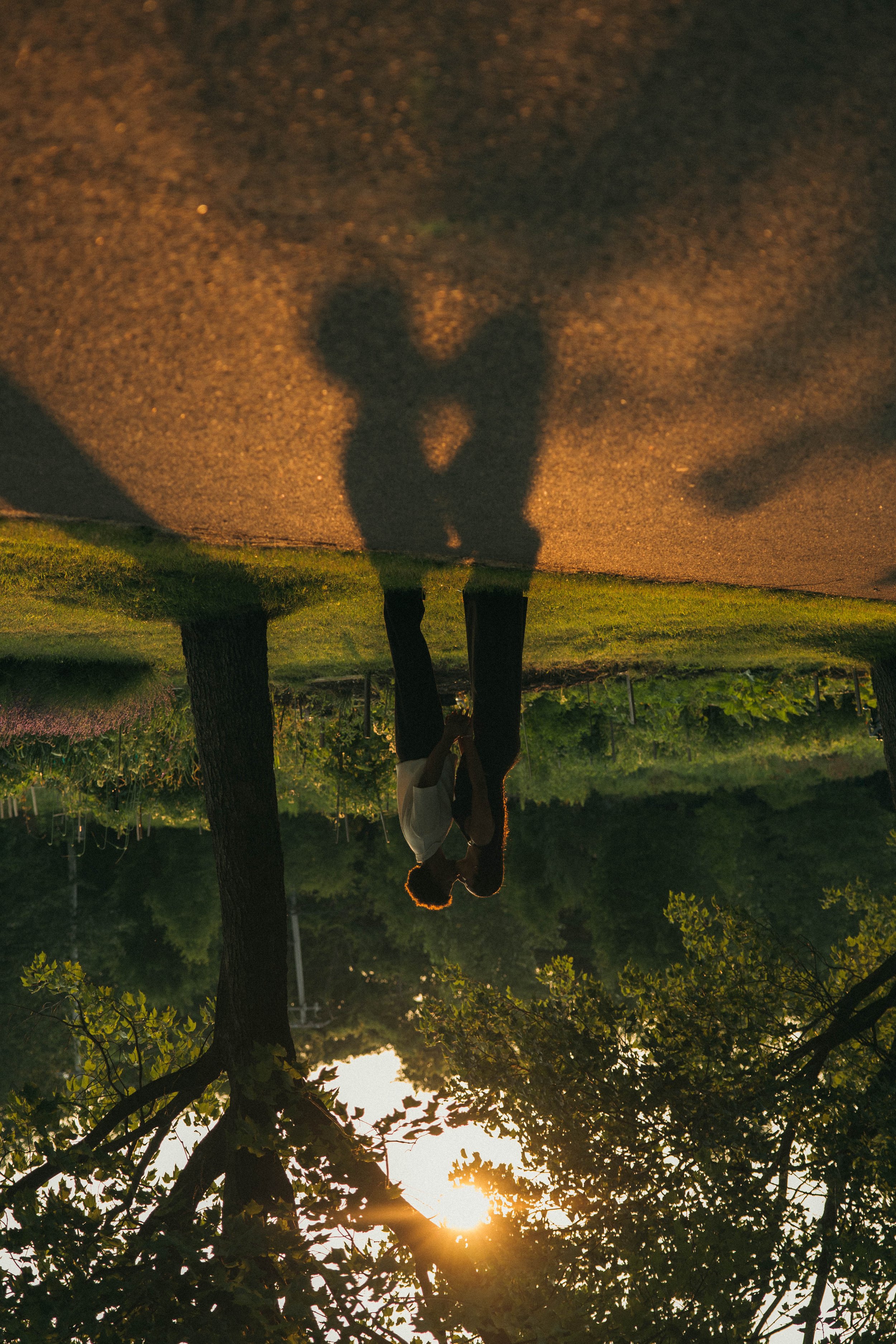 couple ombre golden hour