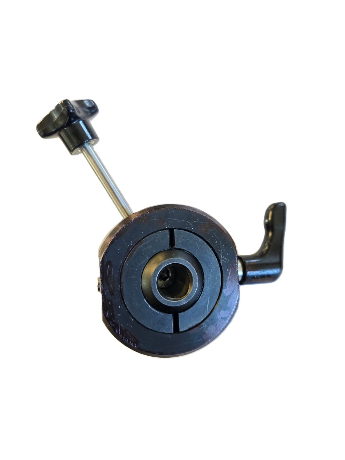 qs12 specimen head.jpg