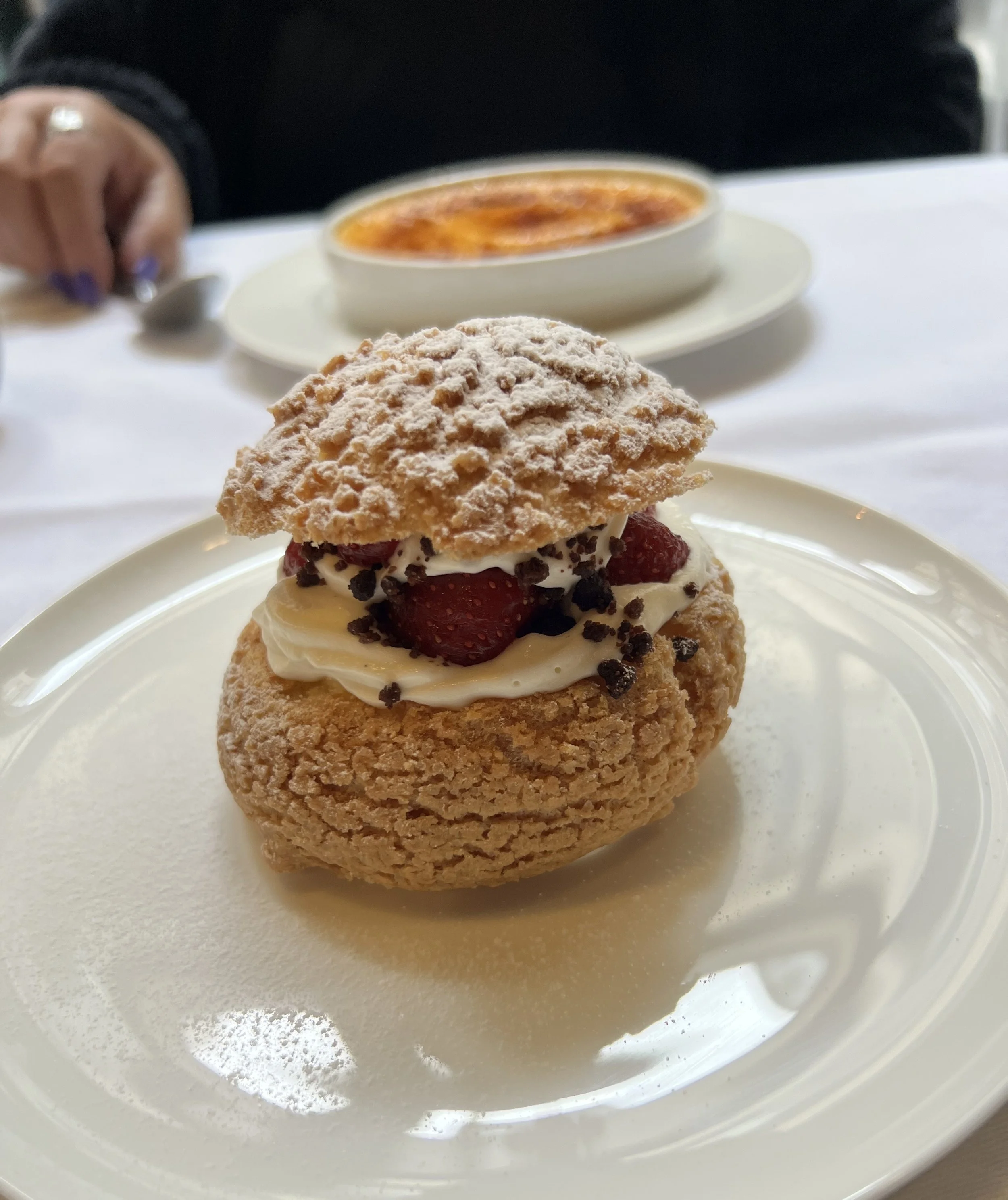 Paris Cream Puff.jpeg