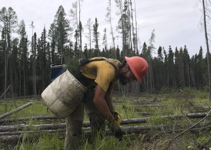 Canadian Kraft Paper’s Annual Tree Plant