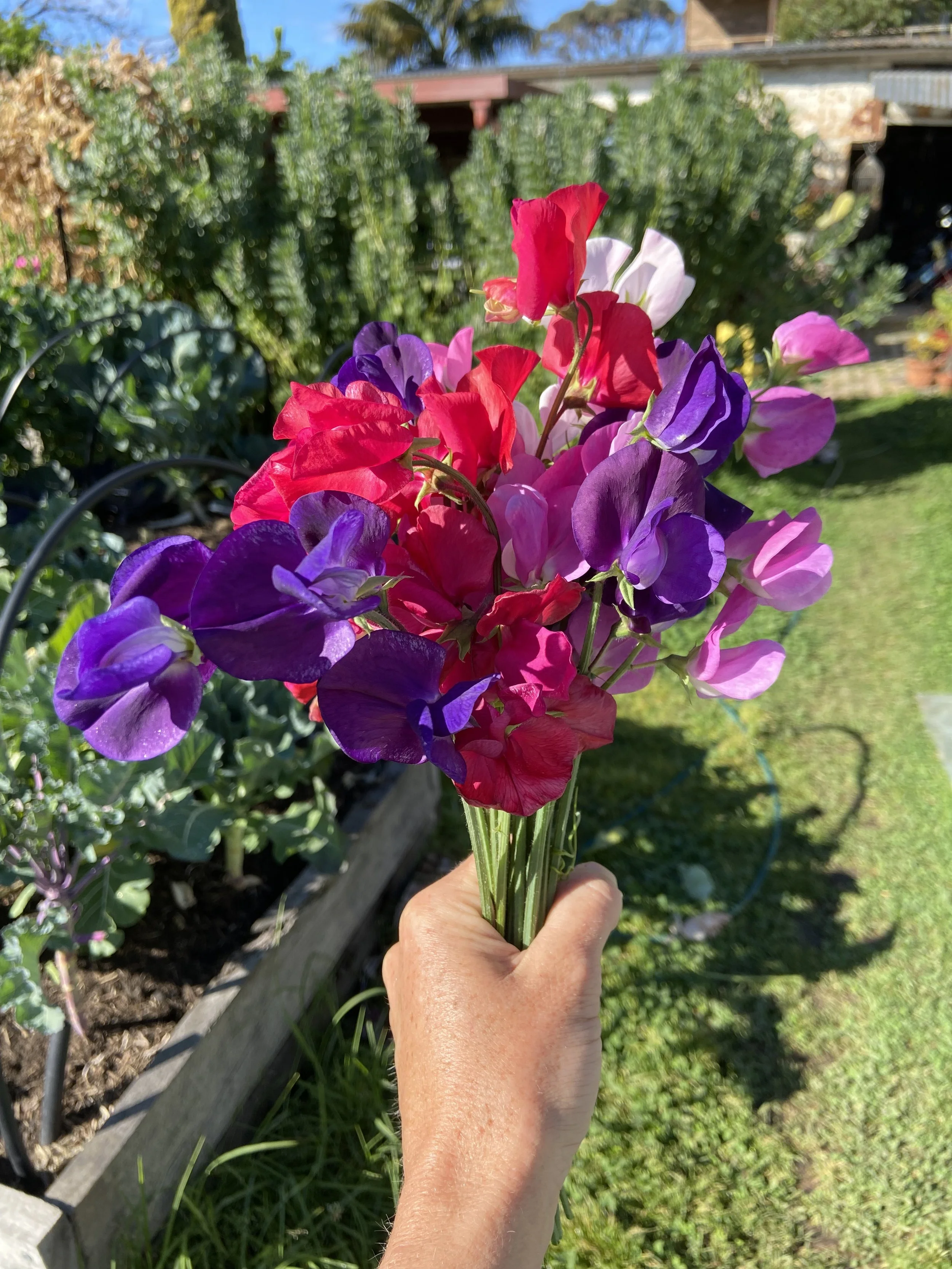 IMG_4929.jpeg