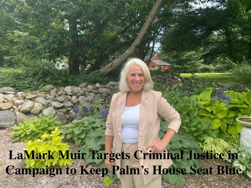 CT Examiner - Candidate Profile