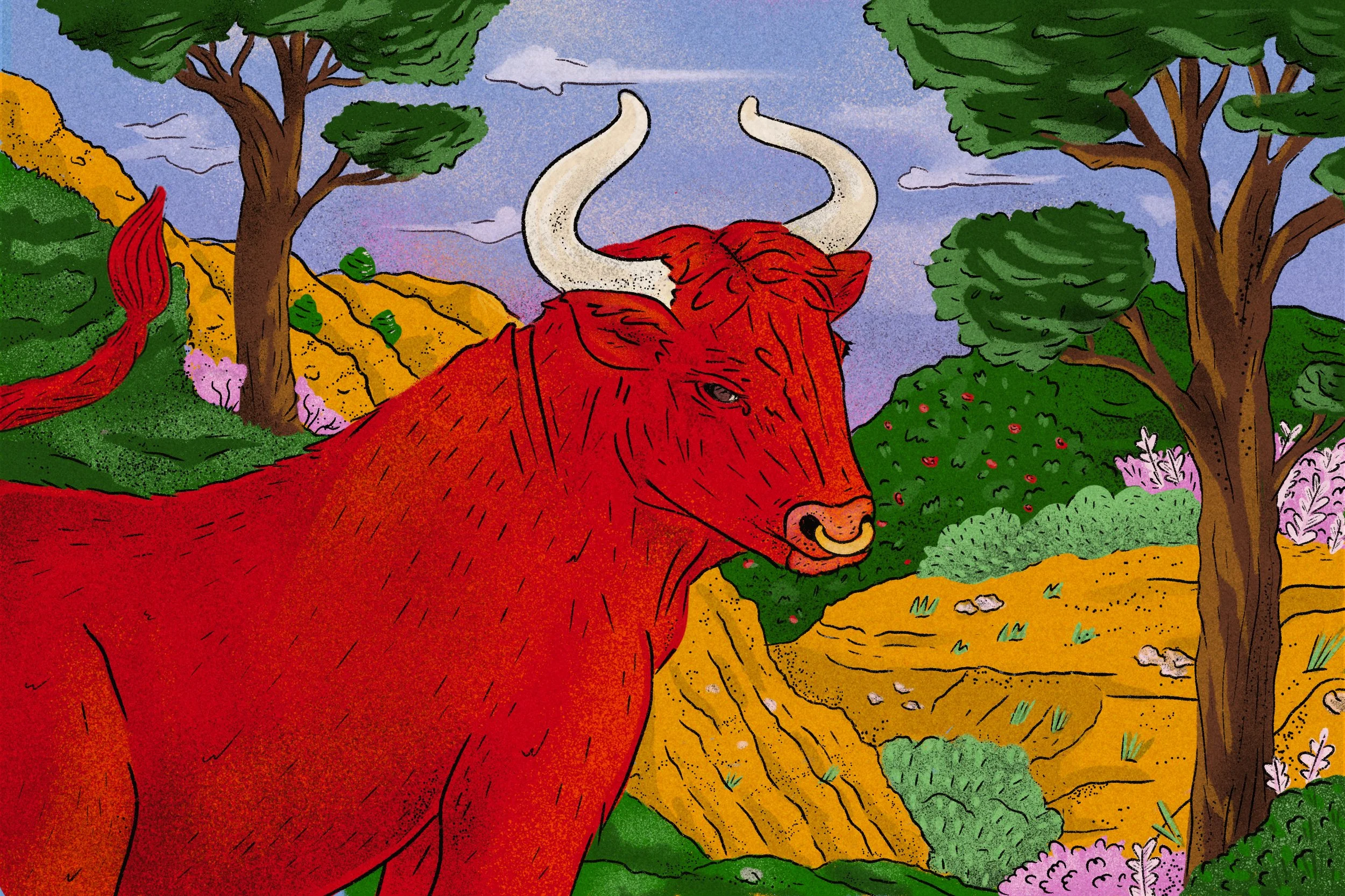 Taurus
