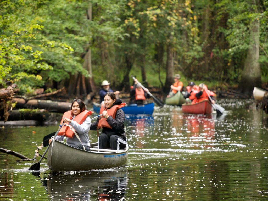 What is Trauma Really?