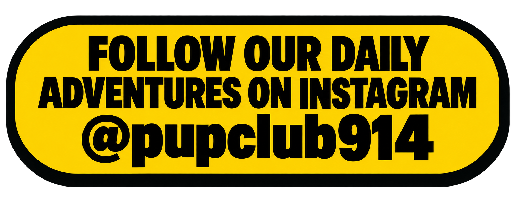 Yellow oval sign with bold black text reading 'Follow our daily adventures on Instagram @pupclub914'.