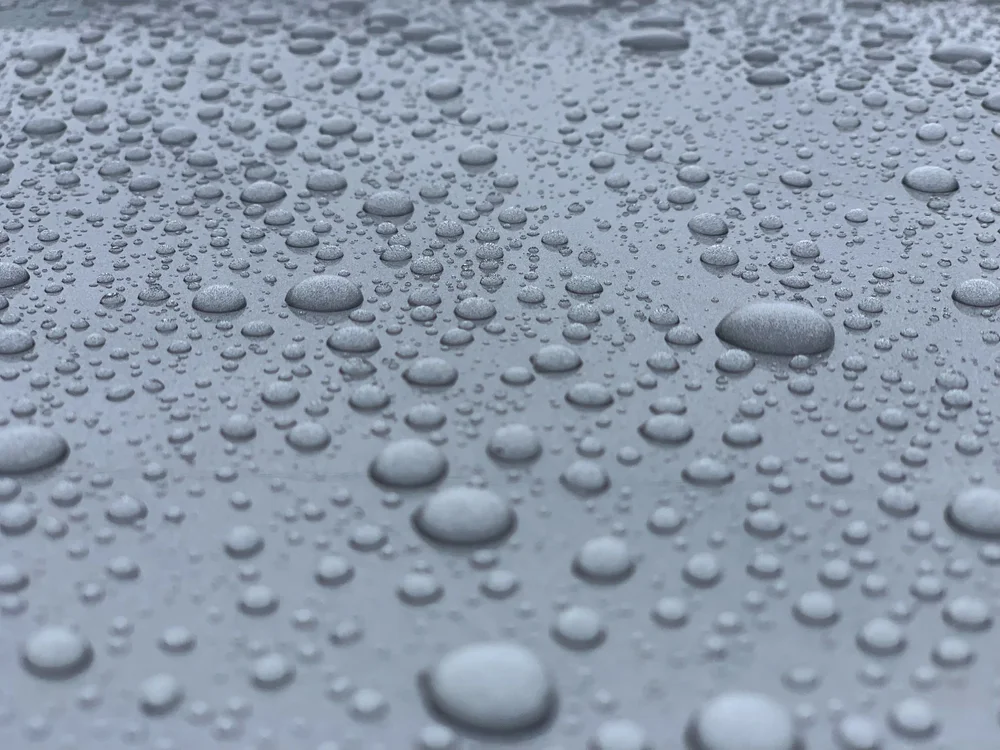 Water beading on a sealed and protected paint surface