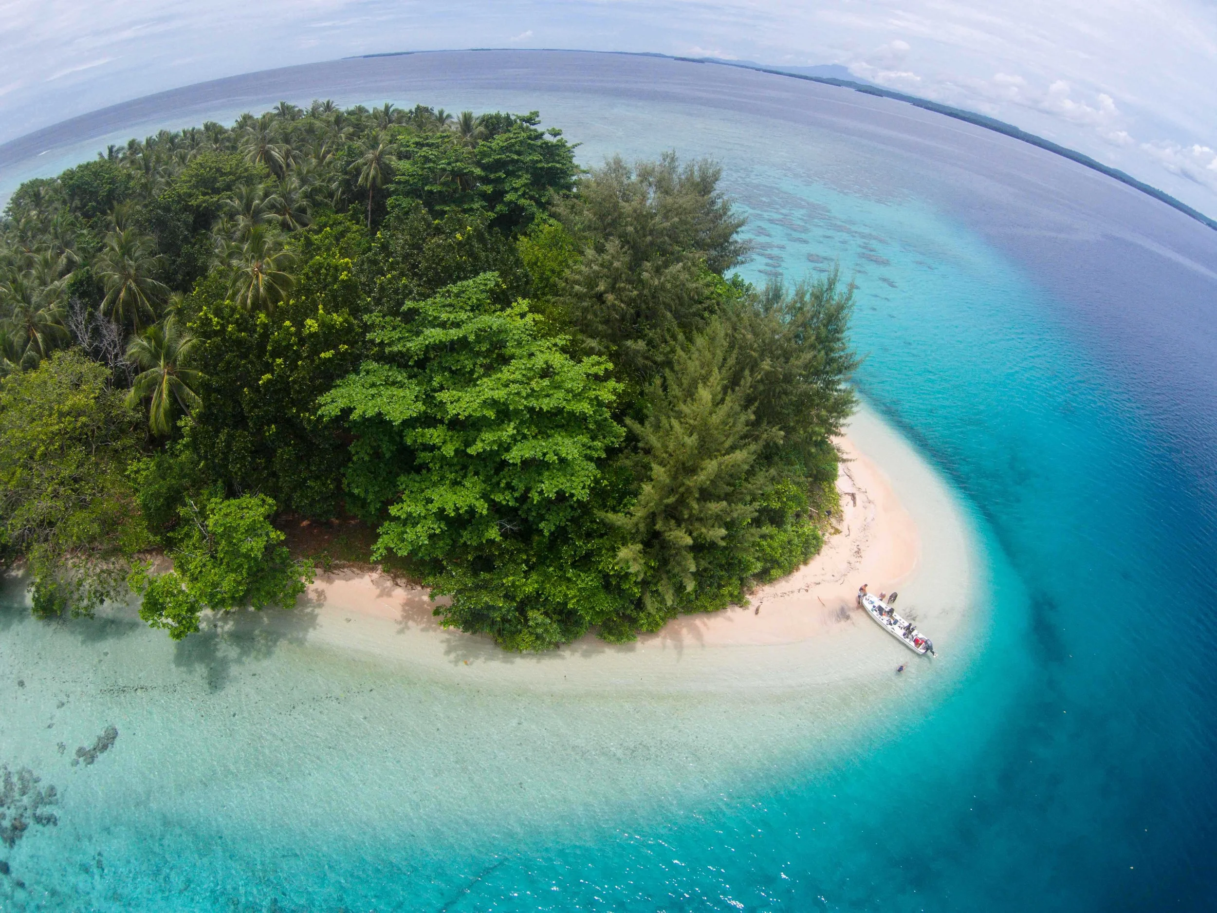 DJI00282.jpg