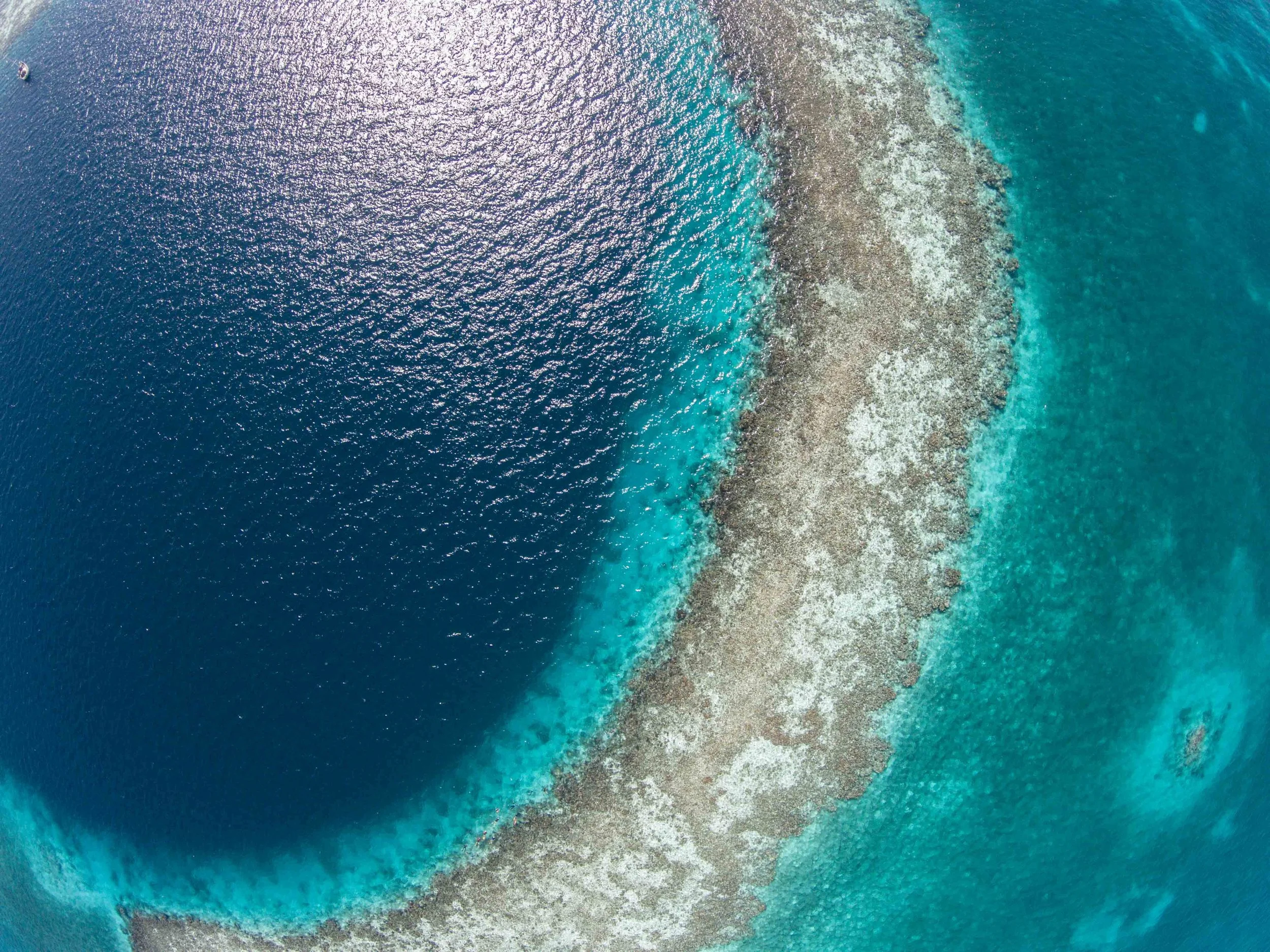 DJI00159.jpg