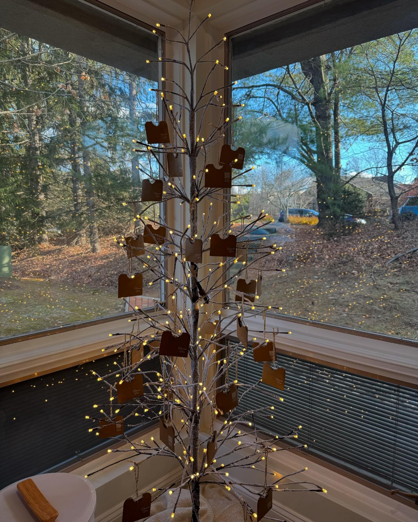 This December for the holiday season, I decided to give away Juniper Christmas Ornaments. Everyone goes home with one! However.. When you come for your appointment pick the right one and it might have a free service stashed in it!!! 🎄🎄🎄🎄🎄🎄🎁🎁?