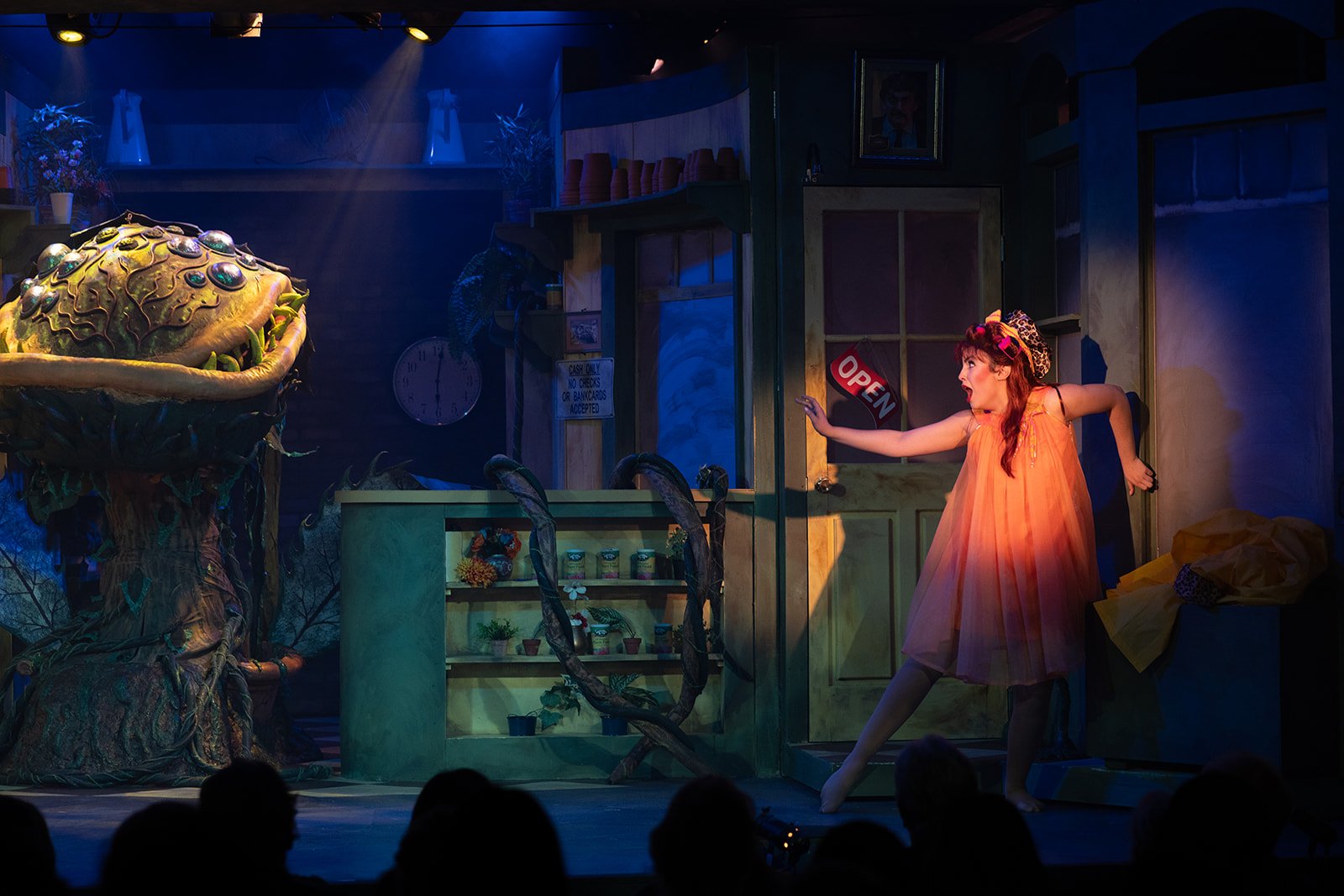 Little Shop of Horrors set design