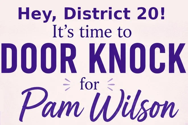 Saturday Door Knocks for Pam Wilson in District 20