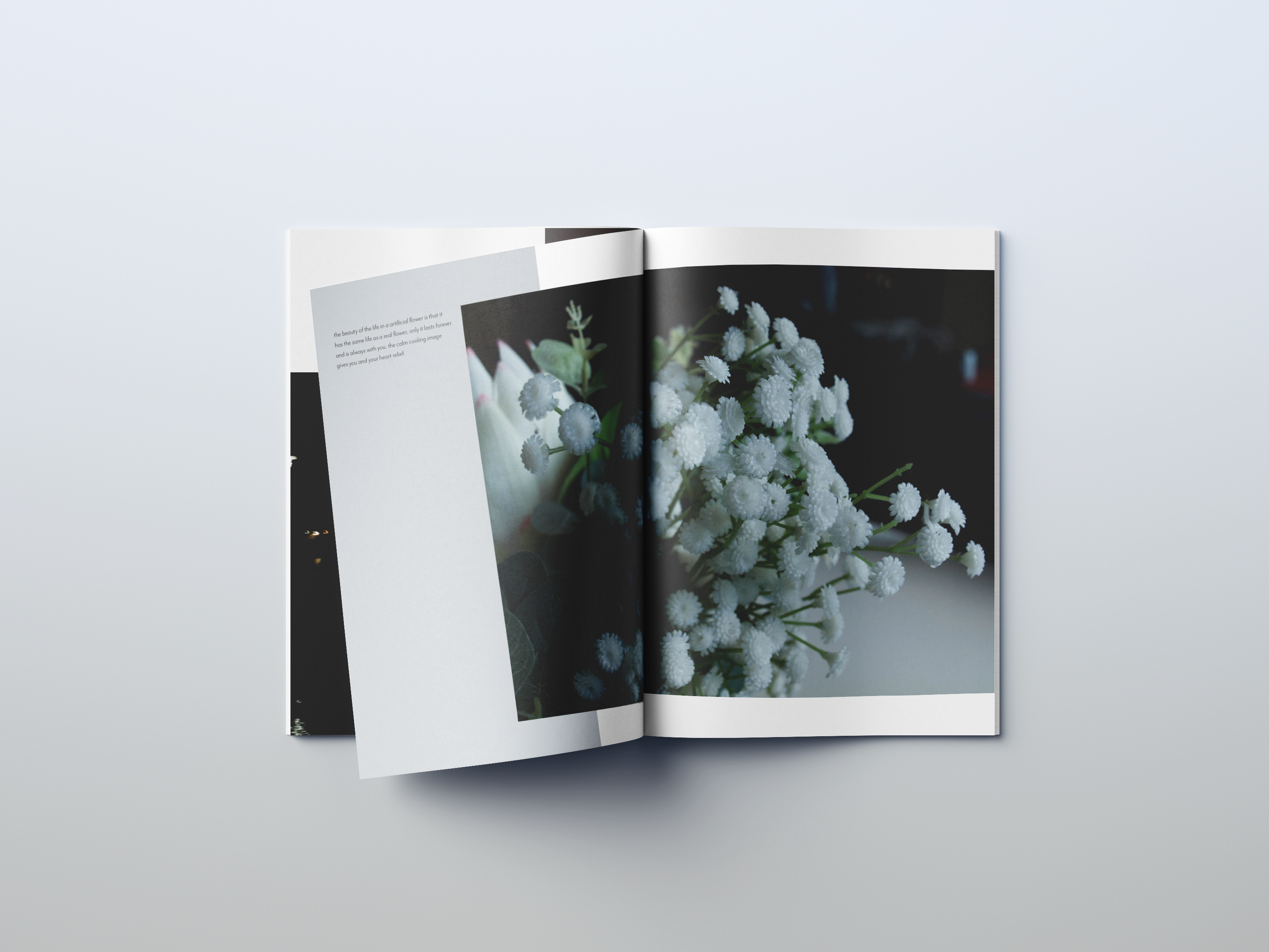 booklet 3.png