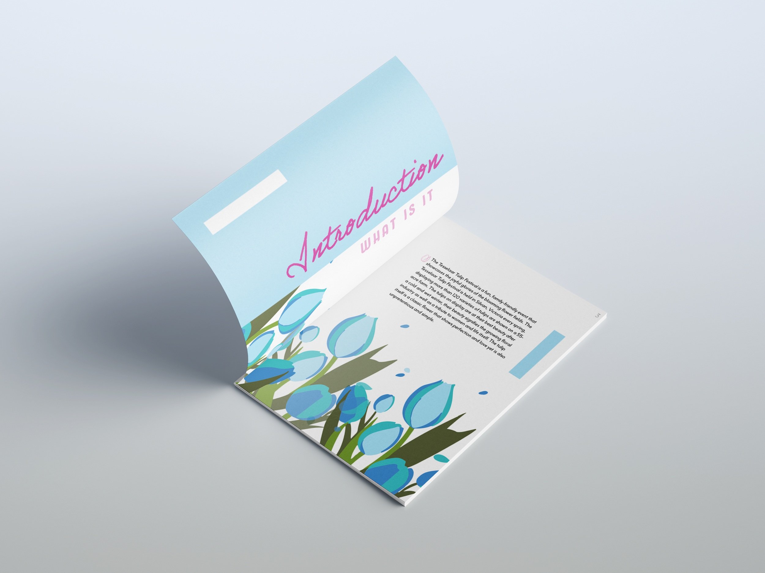 page+2-3+mock+up.jpg