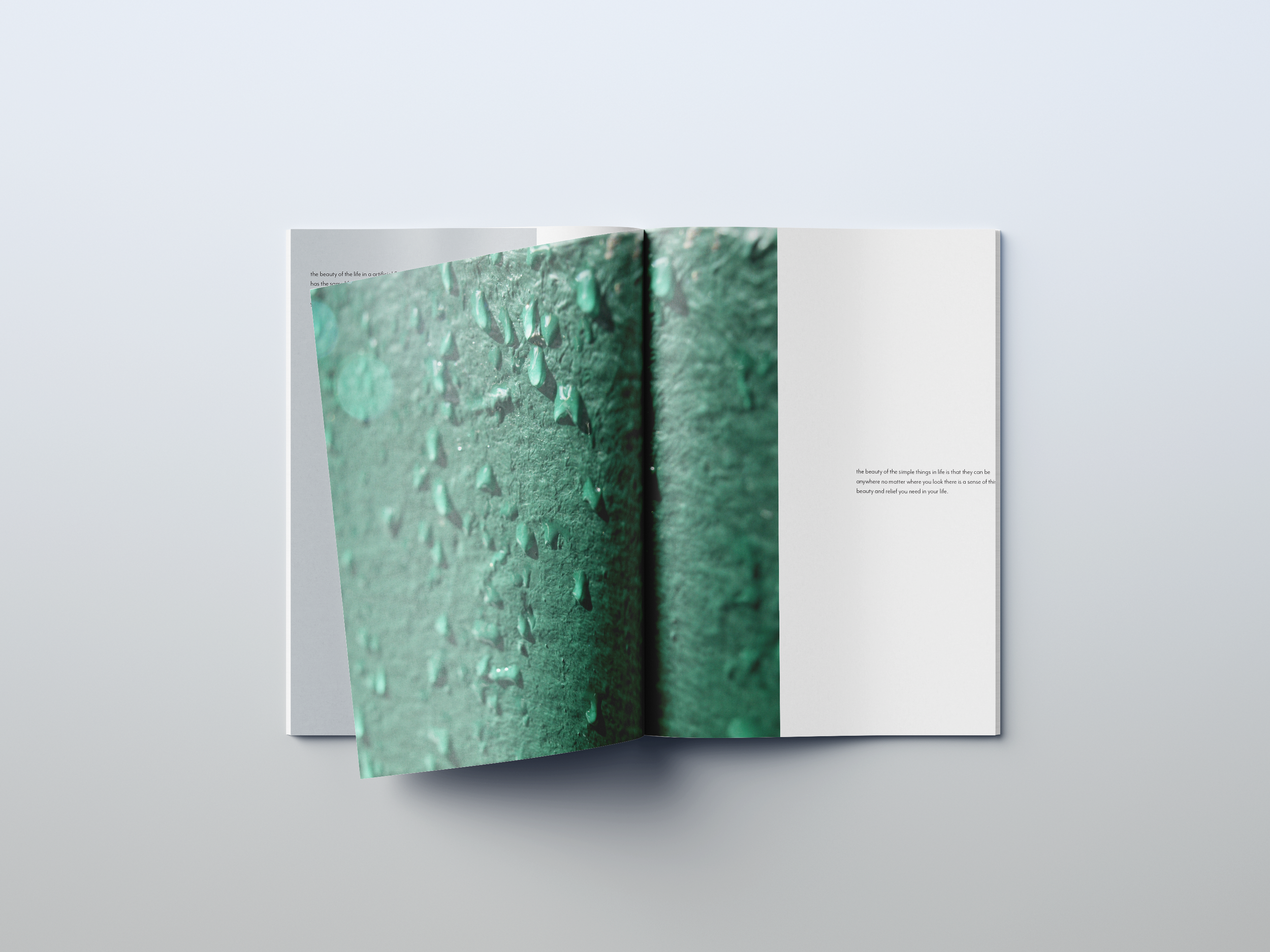 booklet 4.png