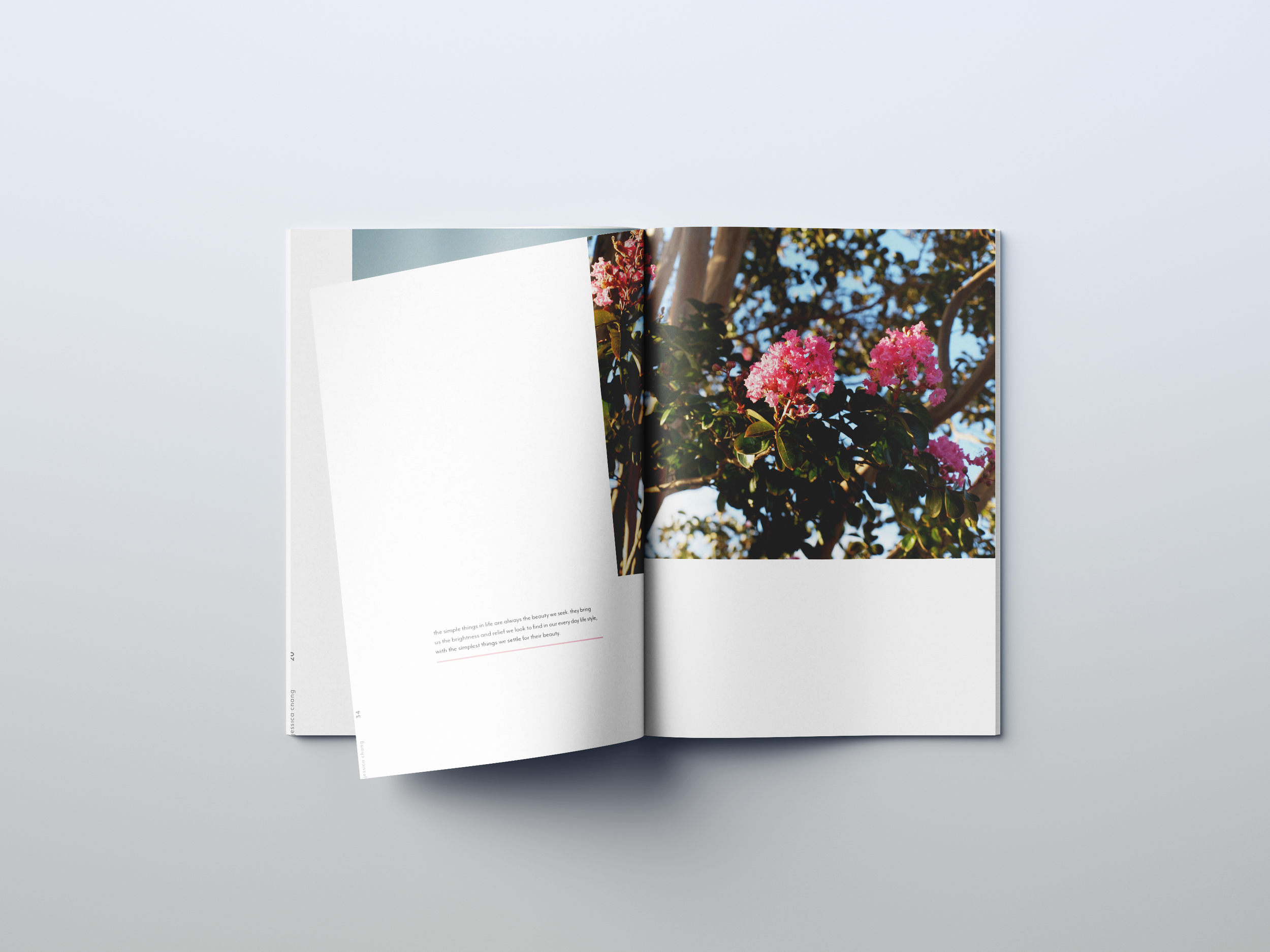 booklet 6.png