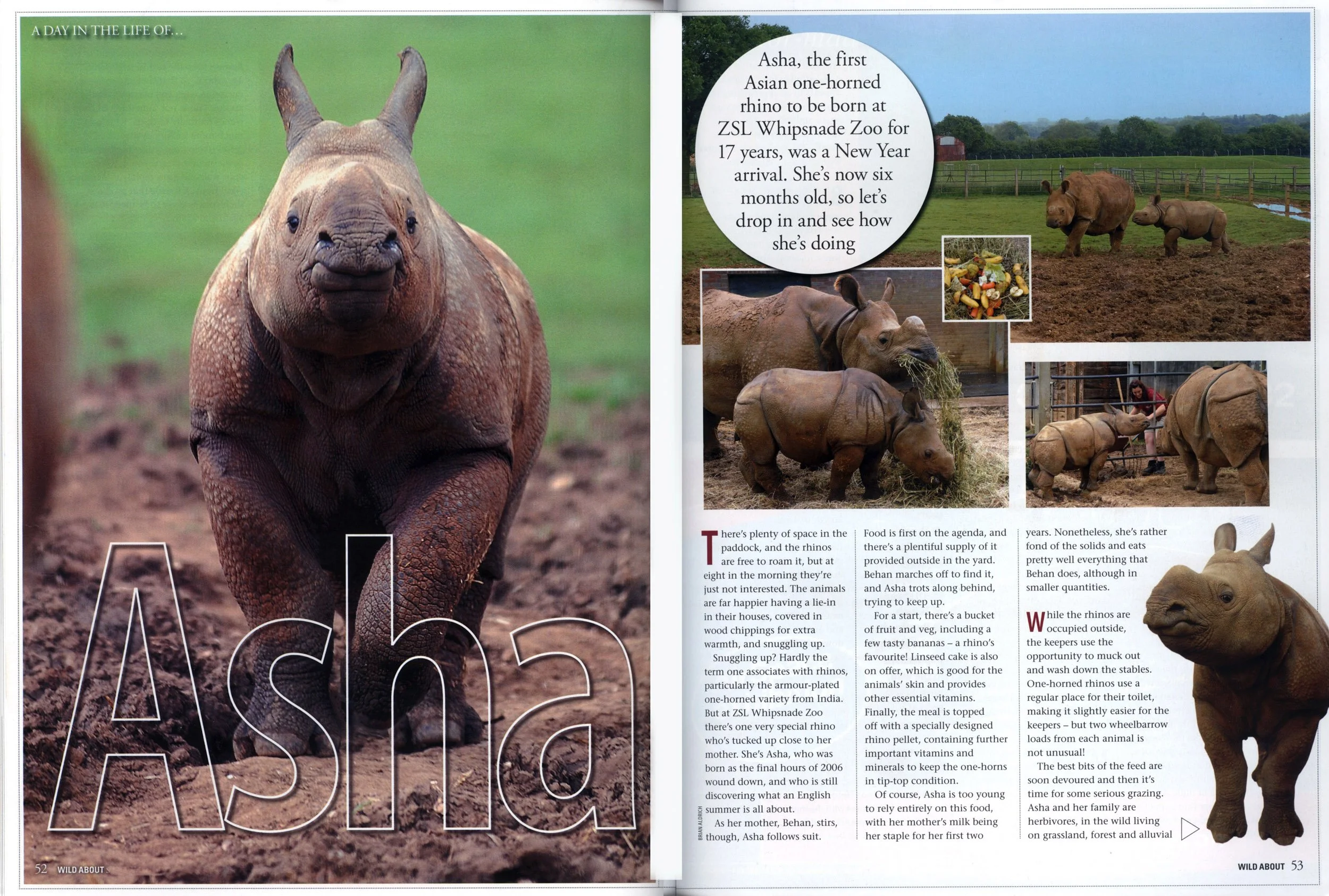 Wild About Magazine, ZSL/London Zoo