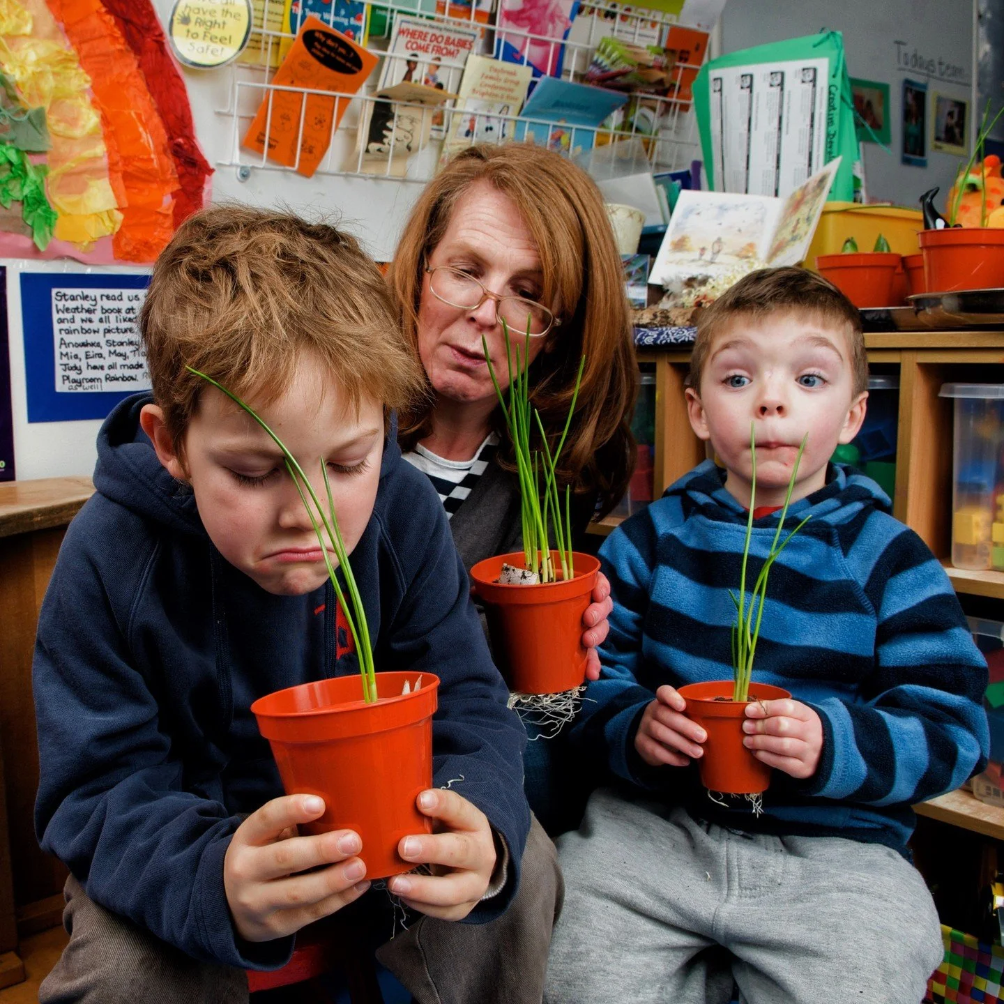 Brighton Unemployed Centre Families Project #bucfp #families #unemployed #brighton #potplants #charity #charityfoundation
