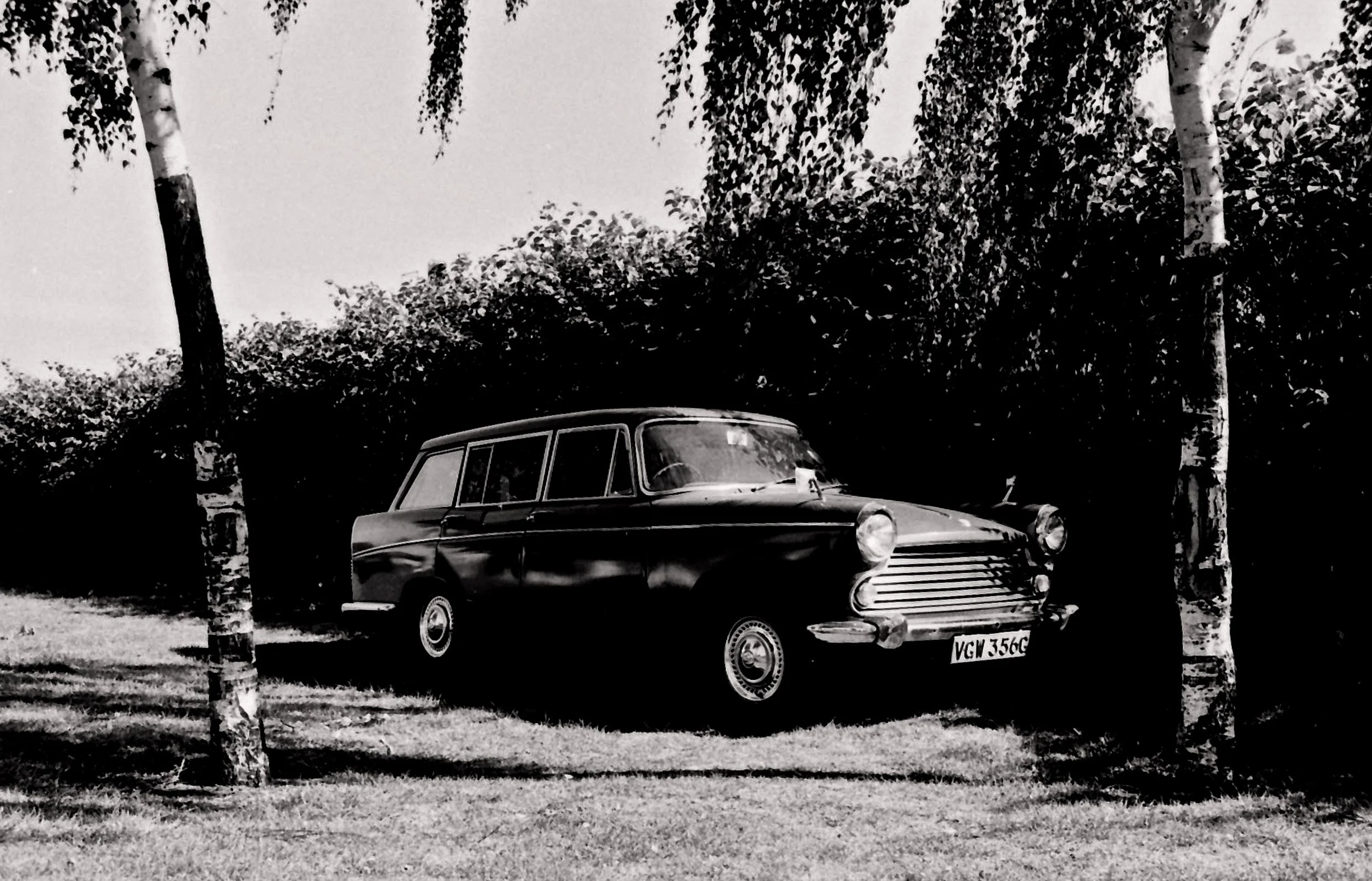 IMG_20161215_0013 copy.jpg