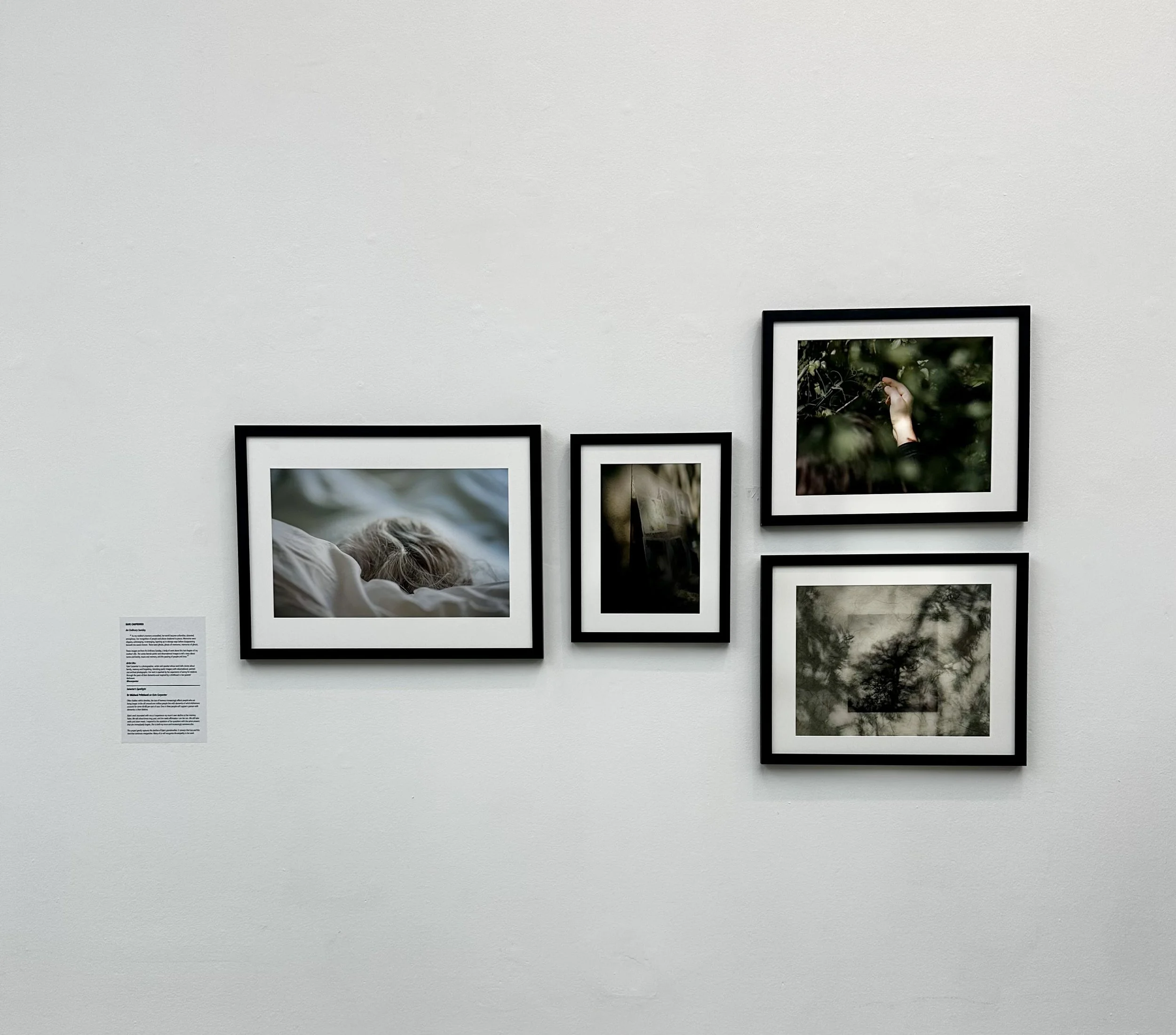 Royal Photographic Society International Photography Exhibition 167