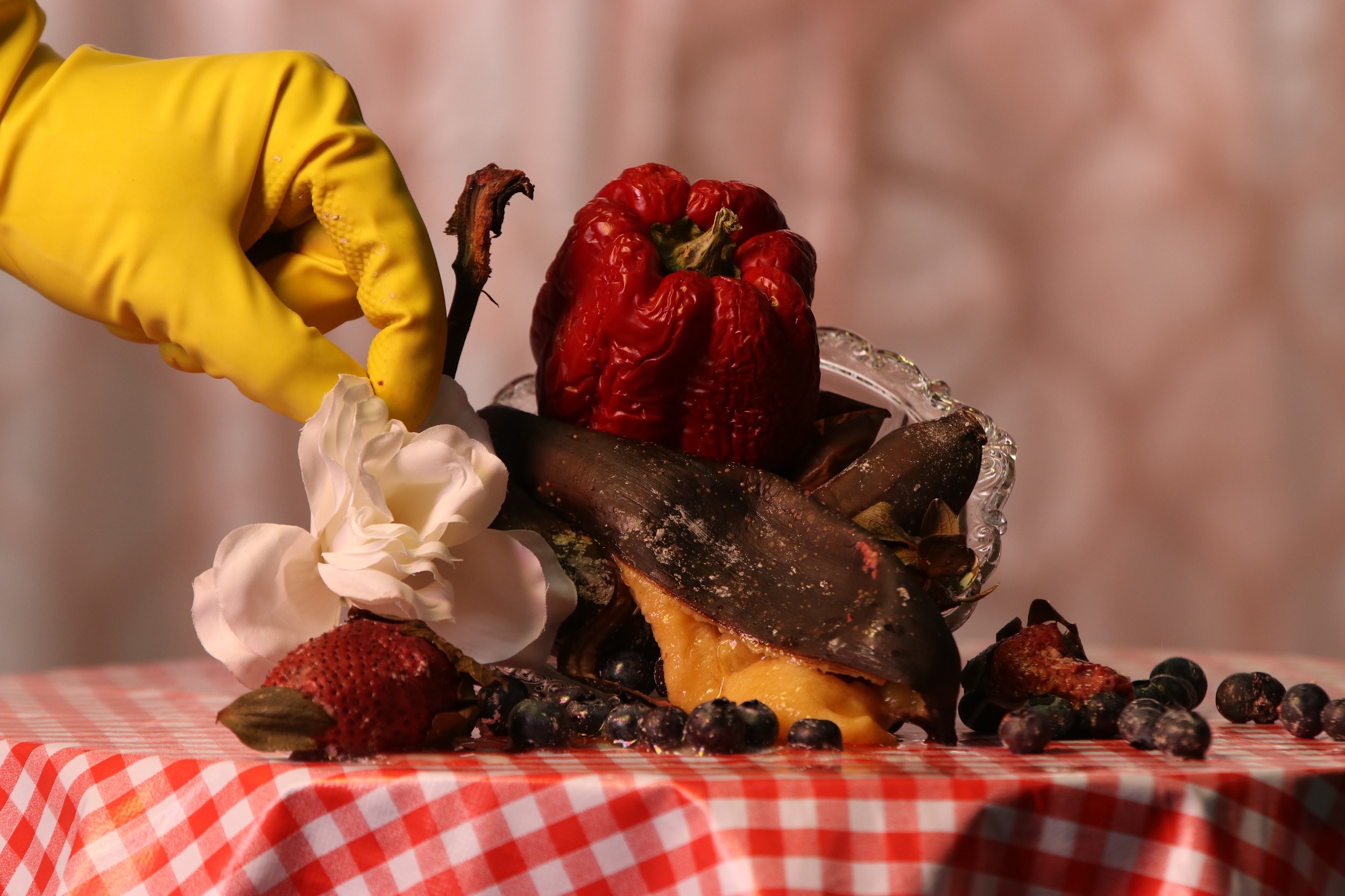 The Rubber Glove Lady #3 - Madeleine Elphick.JPG