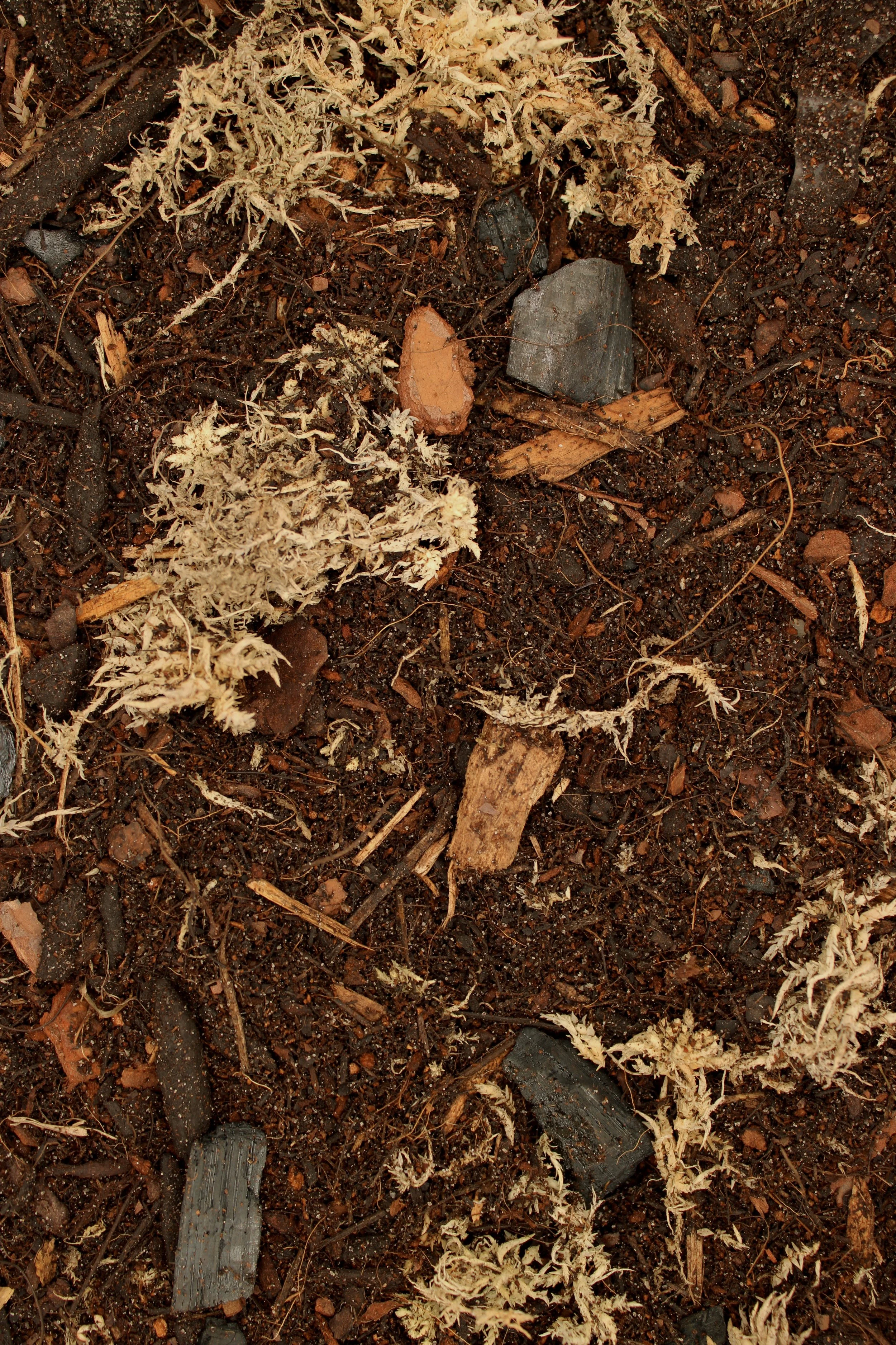 ABG Substrate 2.5lb Bag