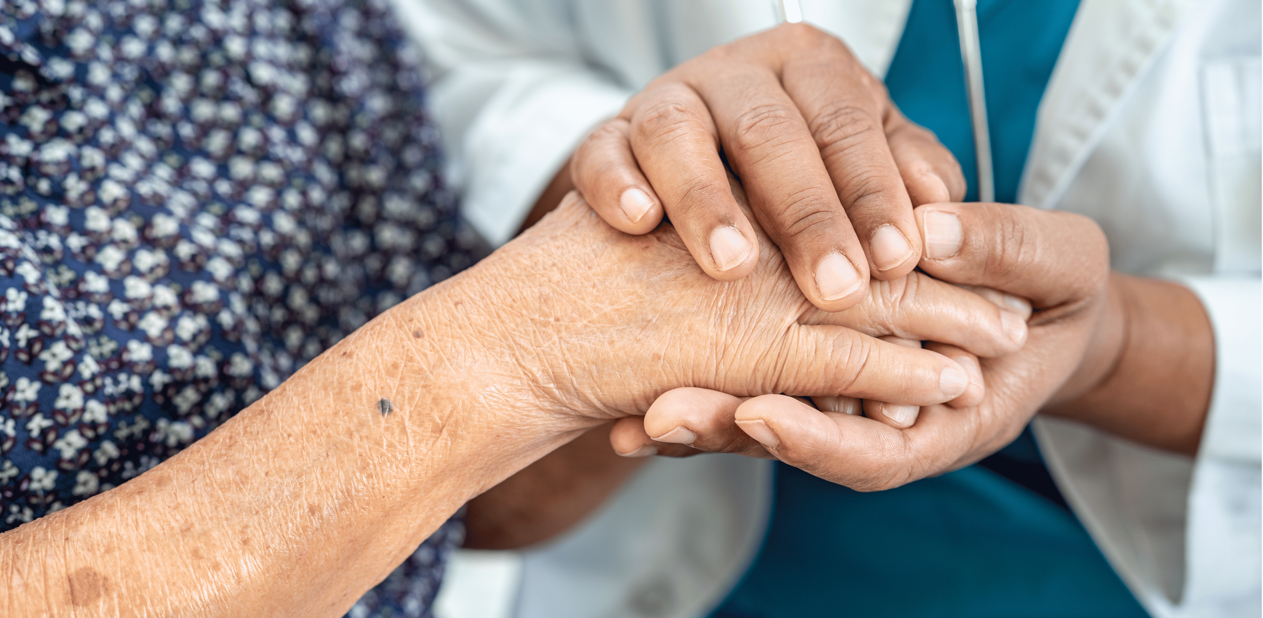 GUIDE Program — Senior Doc